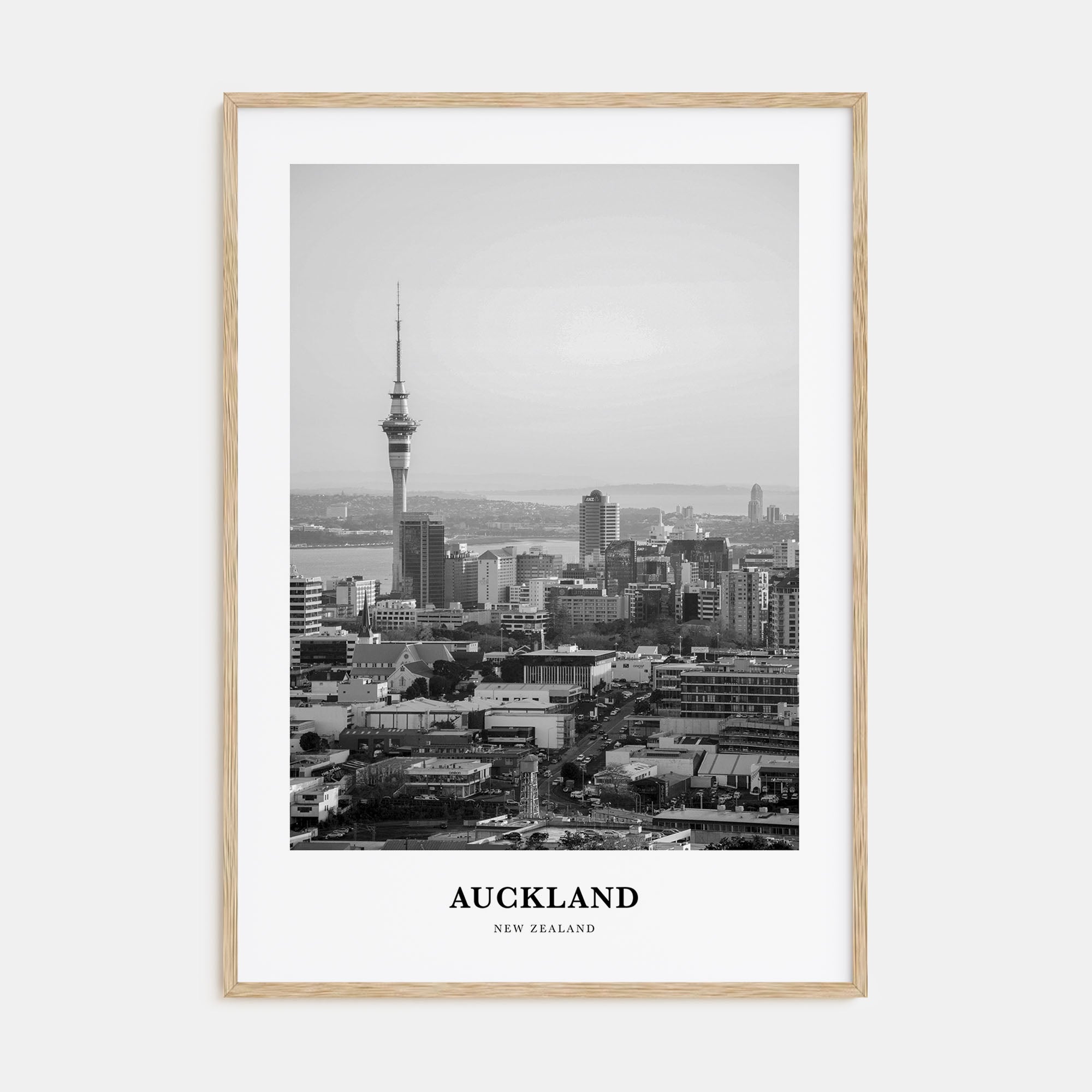 Auckland Portrait B&W No 1 Poster