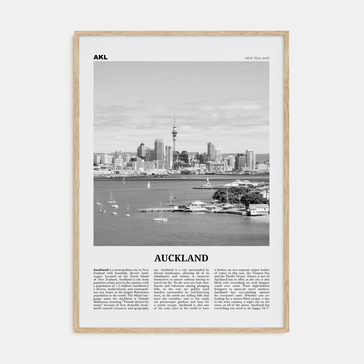 Auckland Travel B&W No 1 Poster