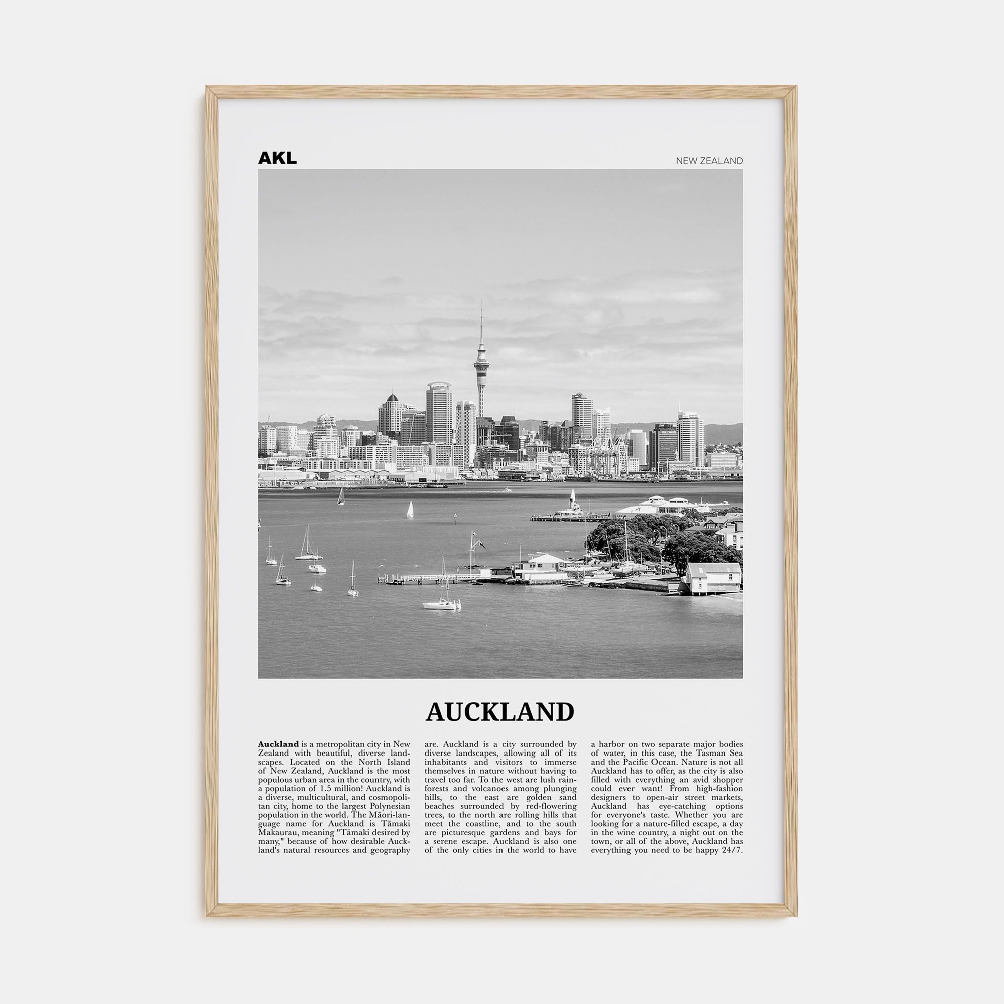 Auckland Travel B&W No 1 Poster