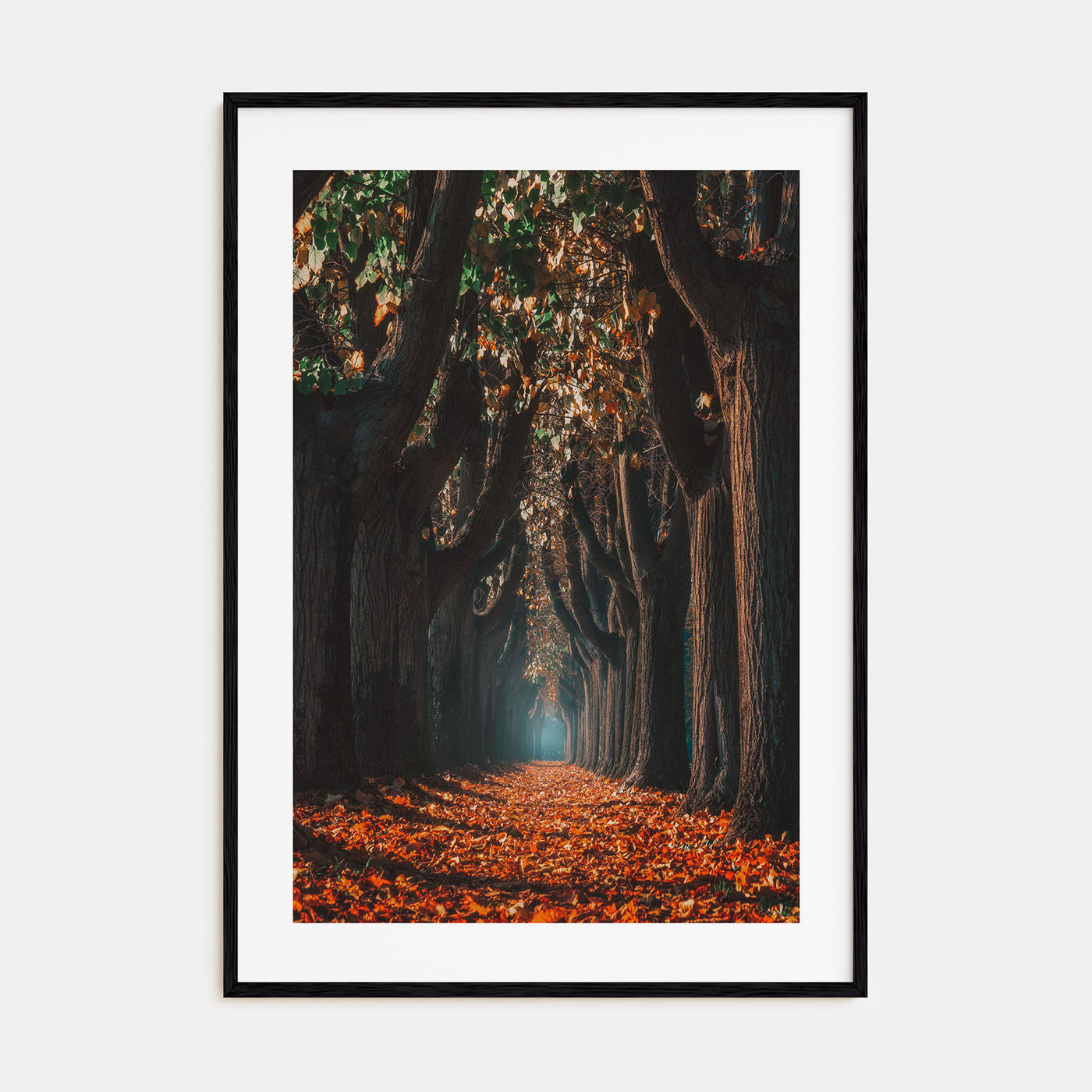 Autumn Morning Walk Photo Color Poster