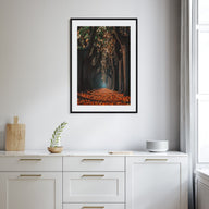 Autumn Morning Walk Photo Color Poster