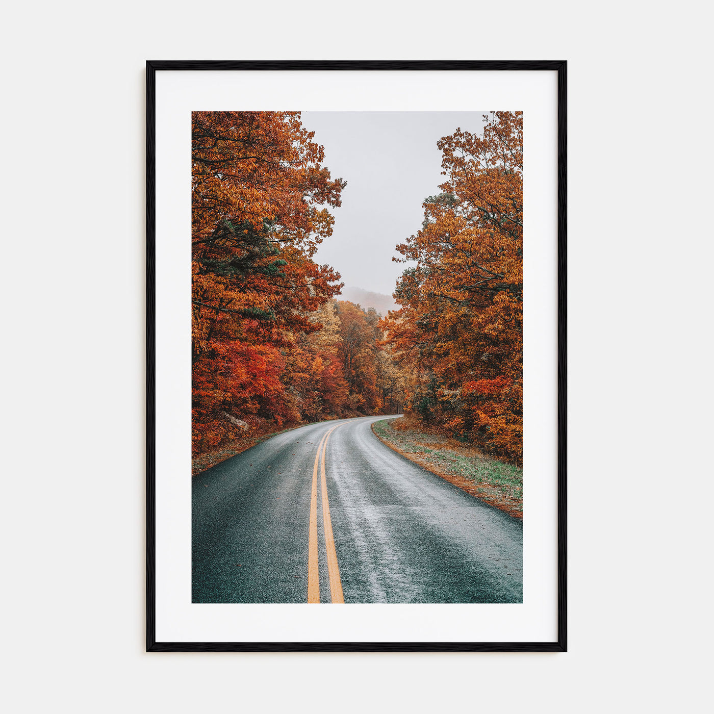 Autumn Road Photo Color No 1 Poster
