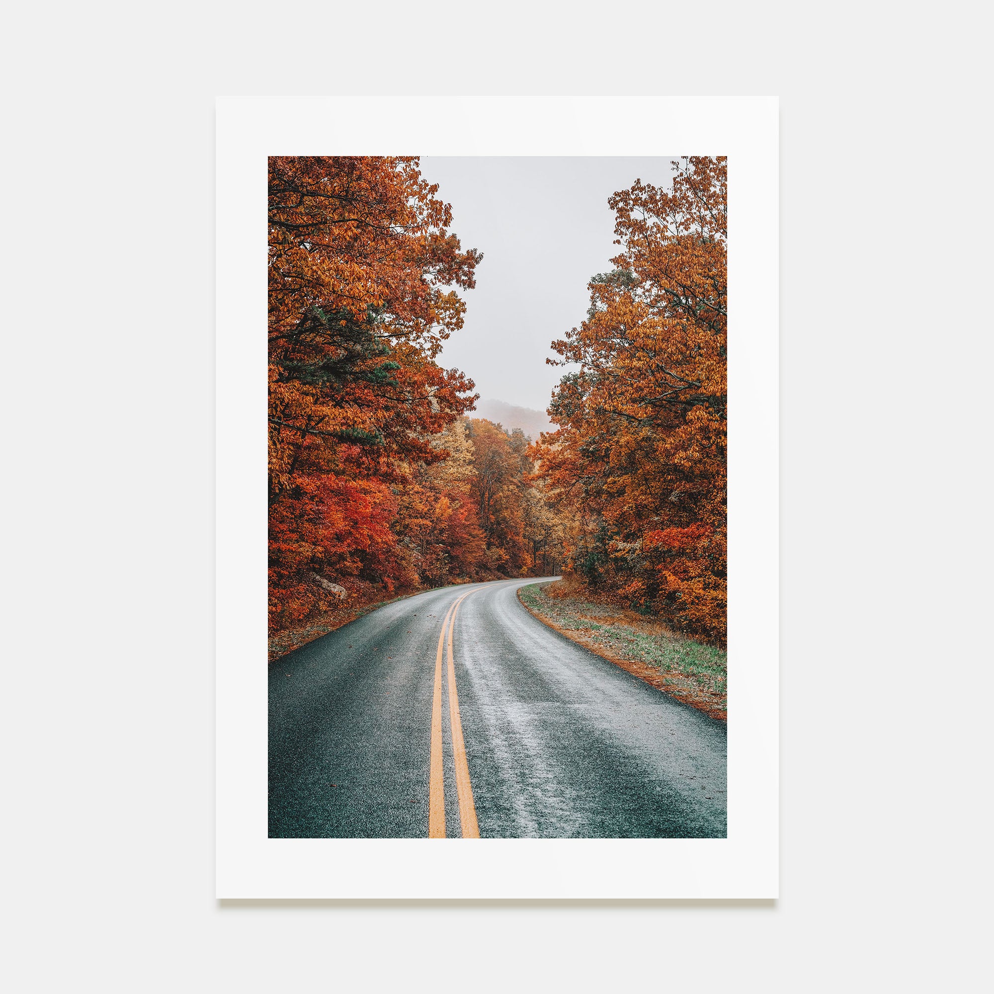 Autumn Road Photo Color No 1 Poster