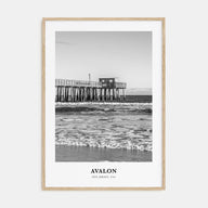 Avalon, New Jersey Portrait B&W Poster