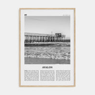 Avalon, New Jersey Travel B&W Poster