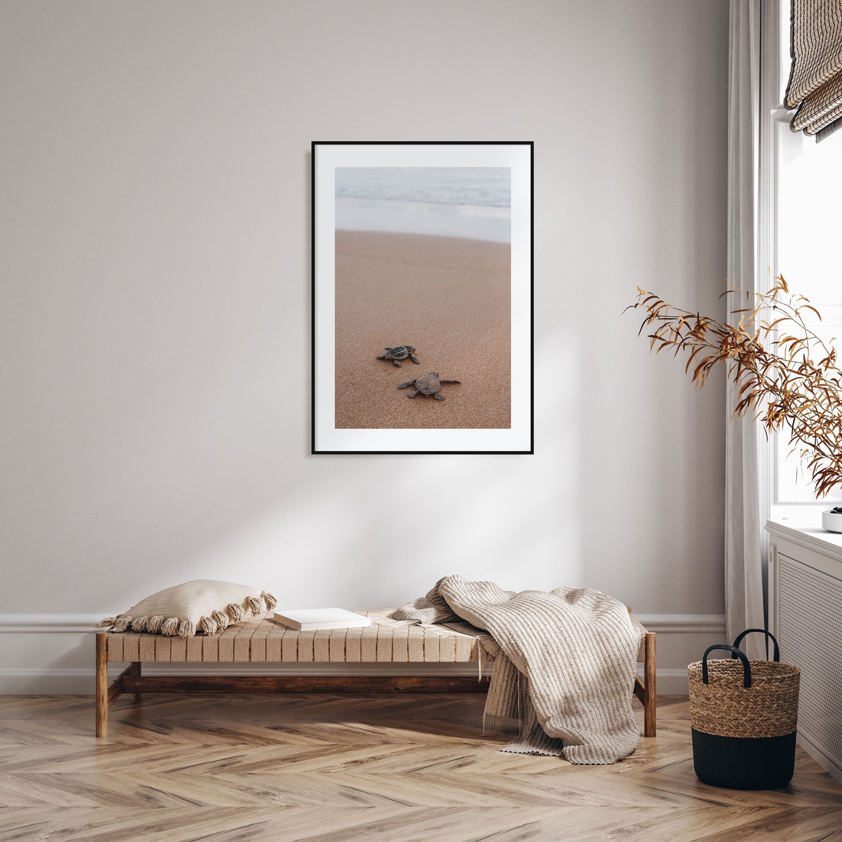 Baby Turtles Photo Color No 1 Poster