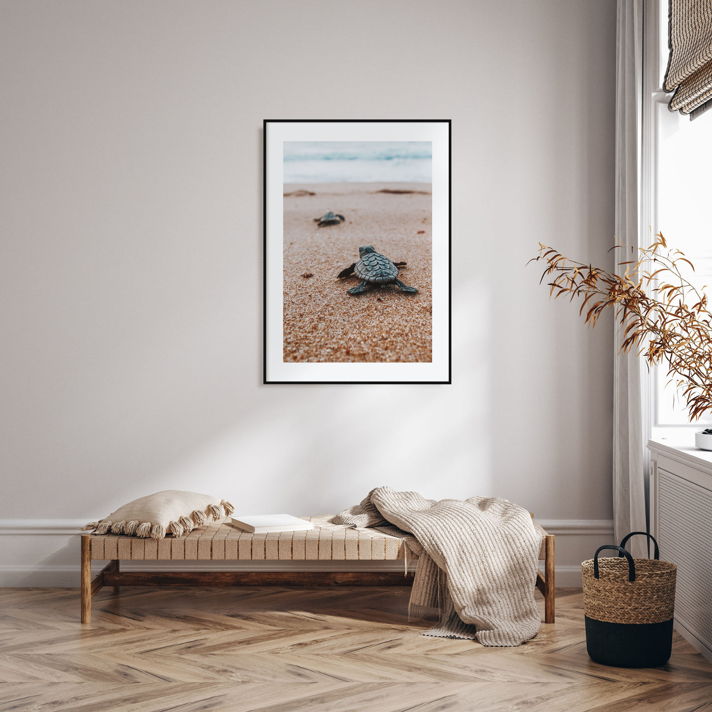 Baby Turtles Photo Color No 2 Poster