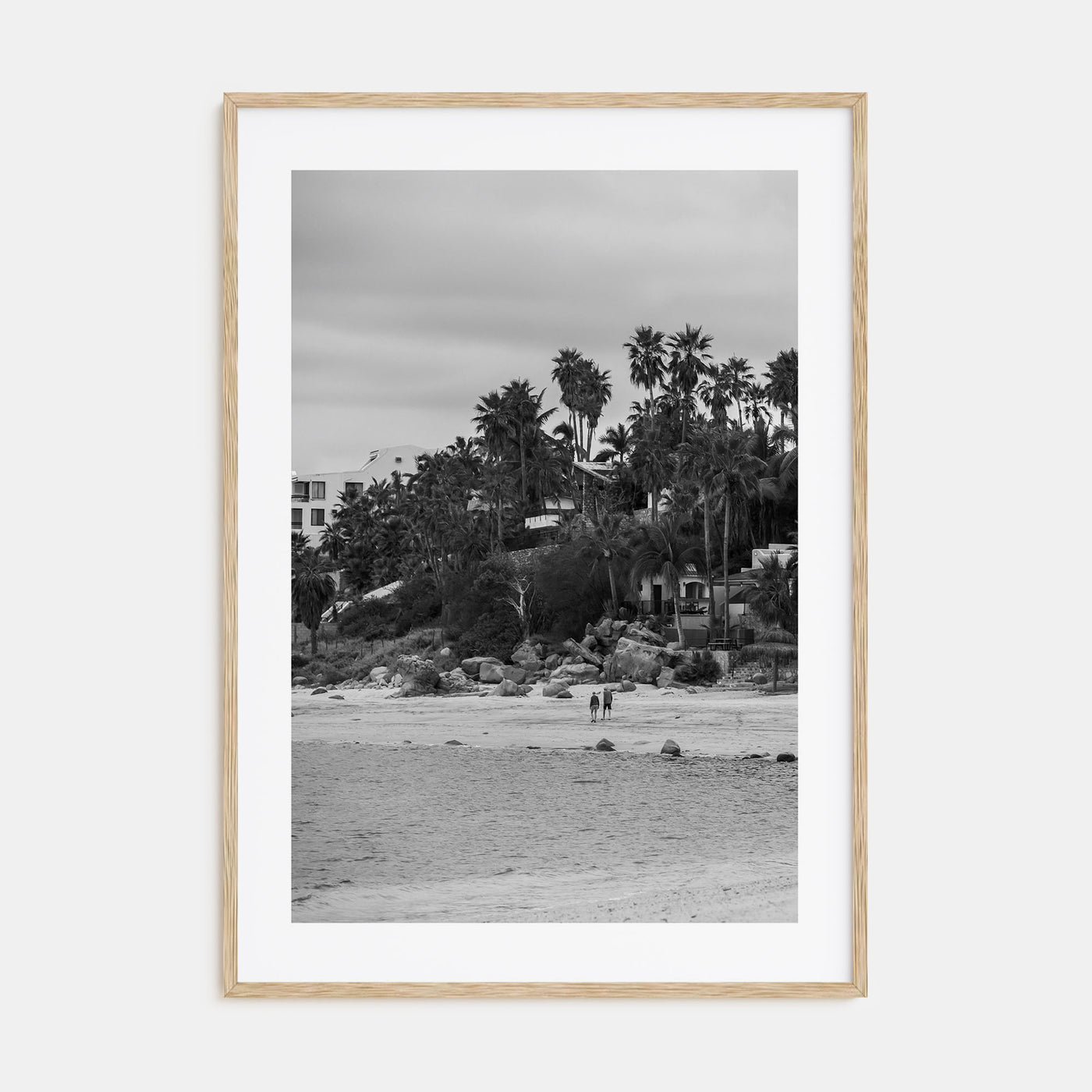 Baja California Sur Photo B&W Poster