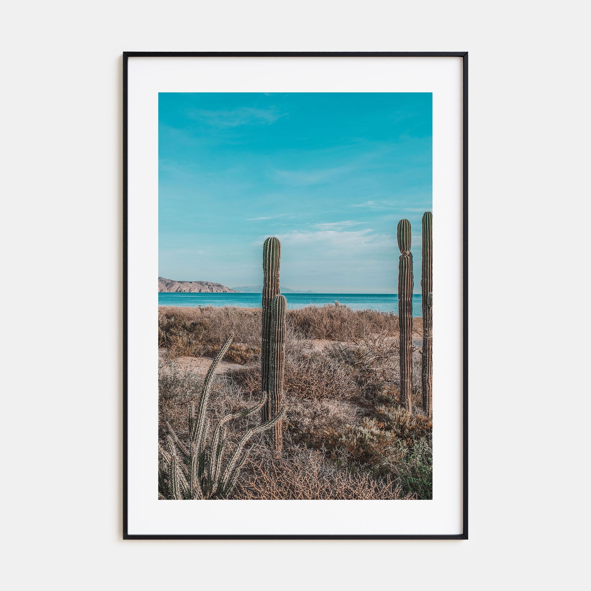 Baja California Sur Photo Color No 1 Poster