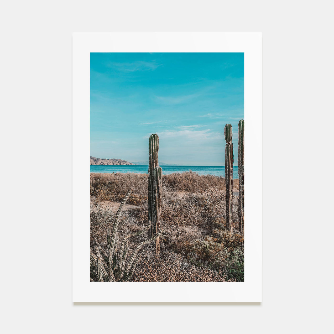 Baja California Sur Photo Color No 1 Poster