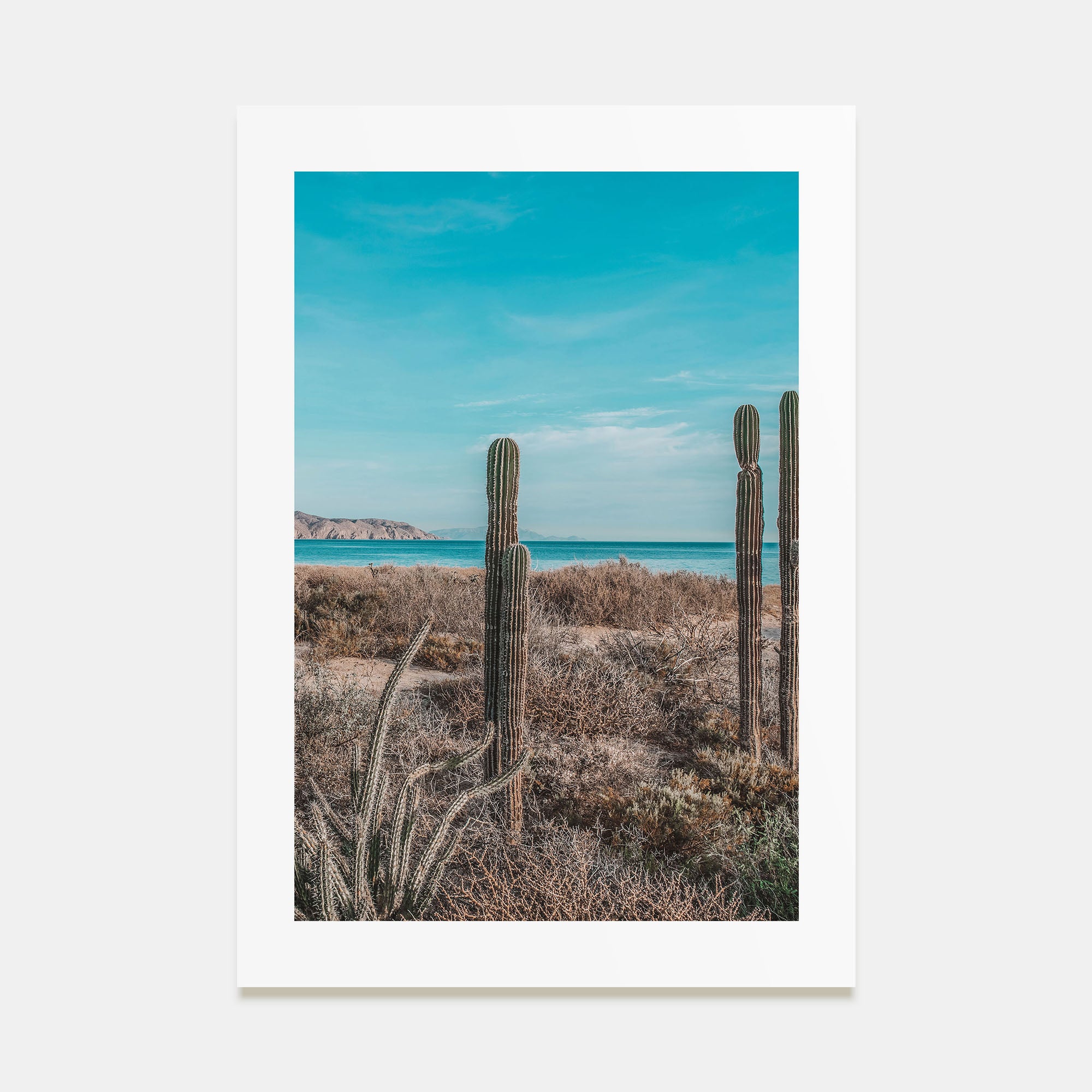 Baja California Sur Photo Color No 1 Poster
