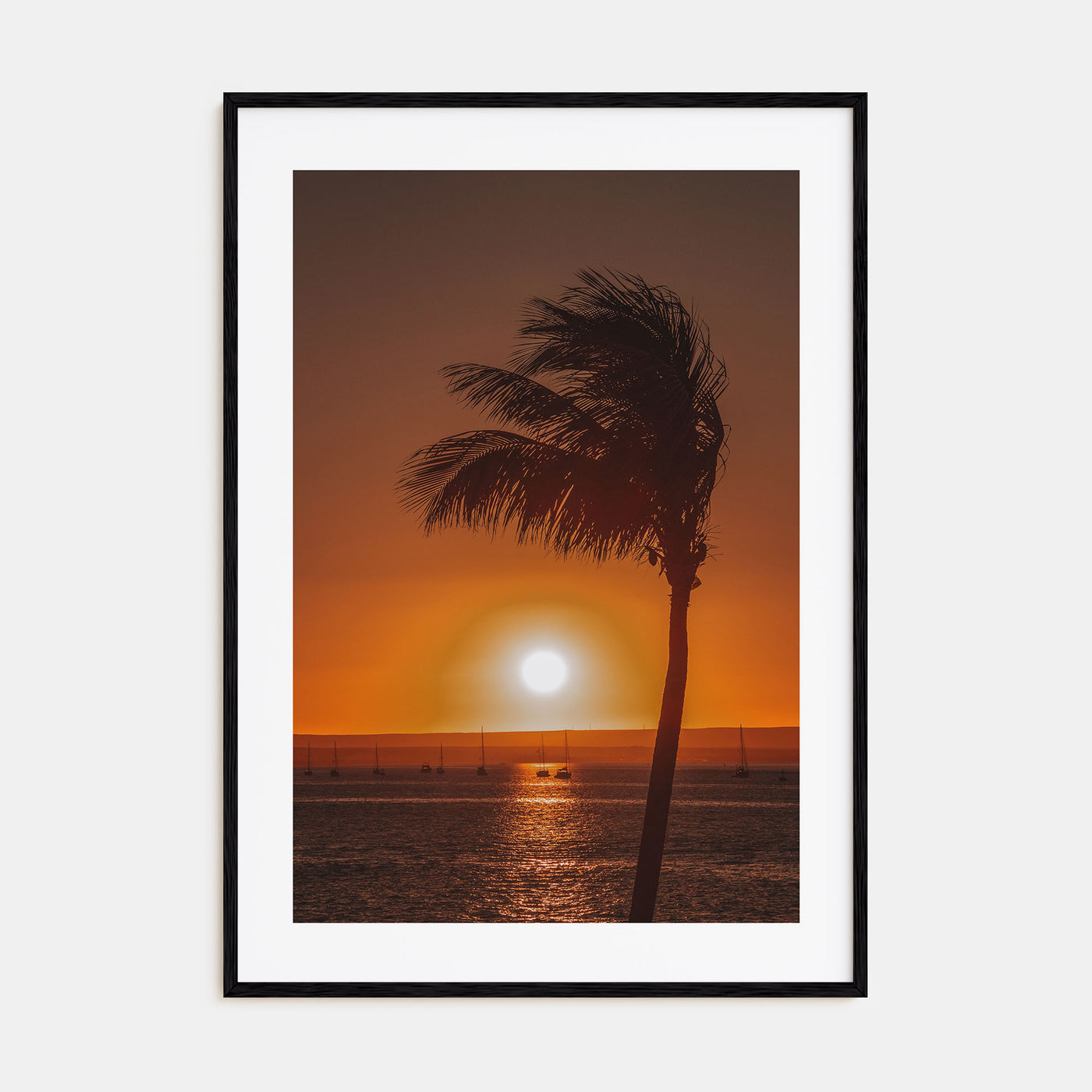 Baja California Sur Photo Color No 2 Poster