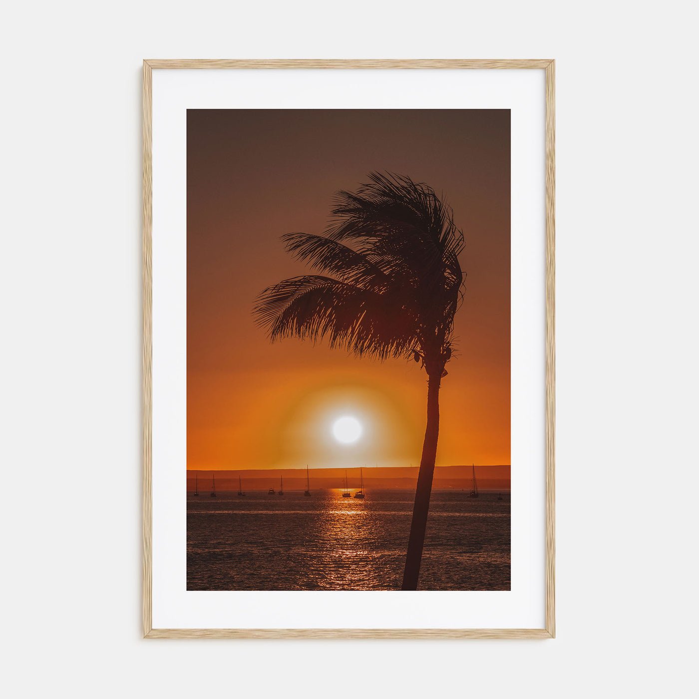 Baja California Sur Photo Color No 2 Poster