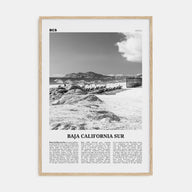 Baja California Sur Travel B&W Poster