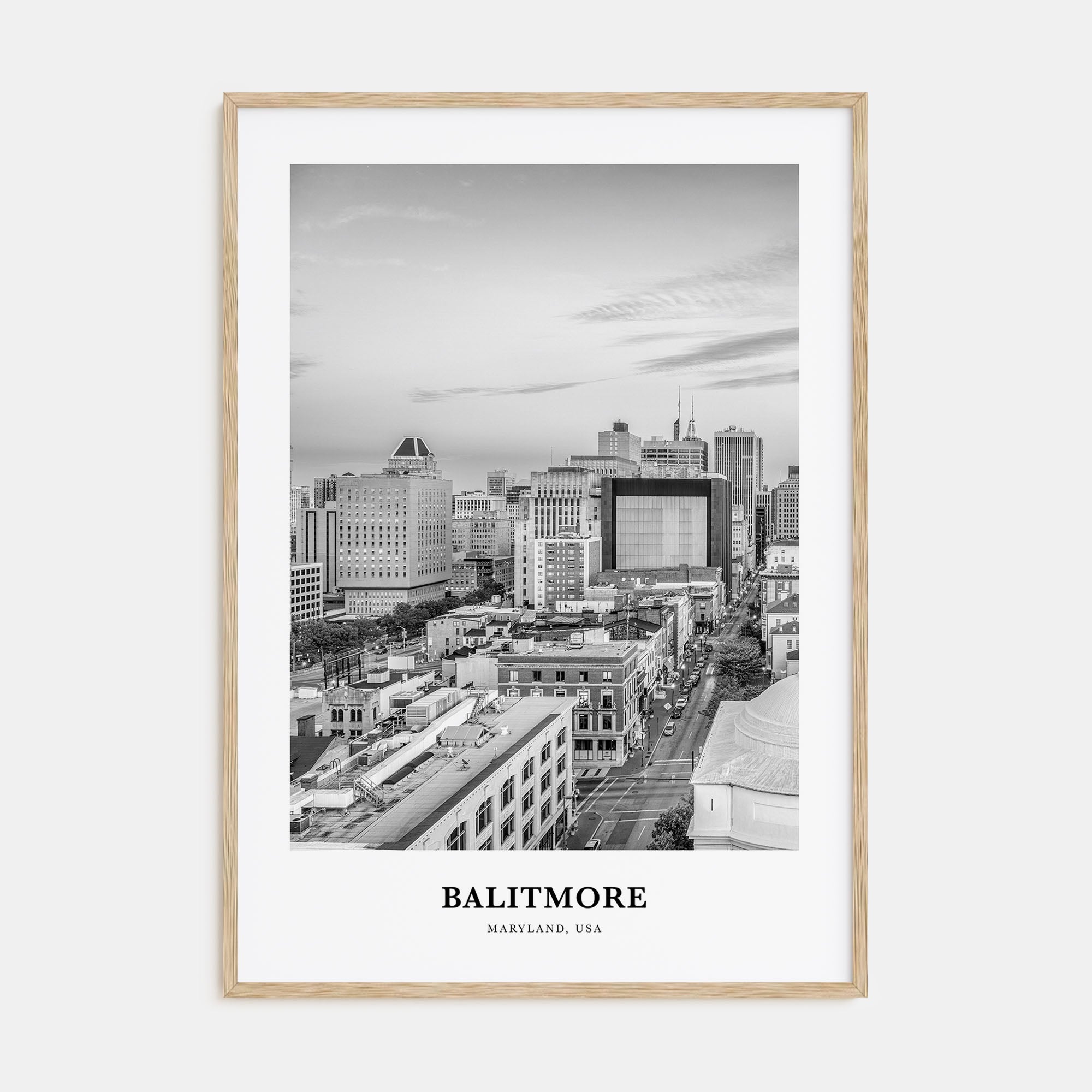 Baltimore Portrait B&W No 2 Poster