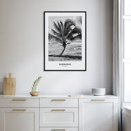 Barbados Portrait B&W No 1 Poster