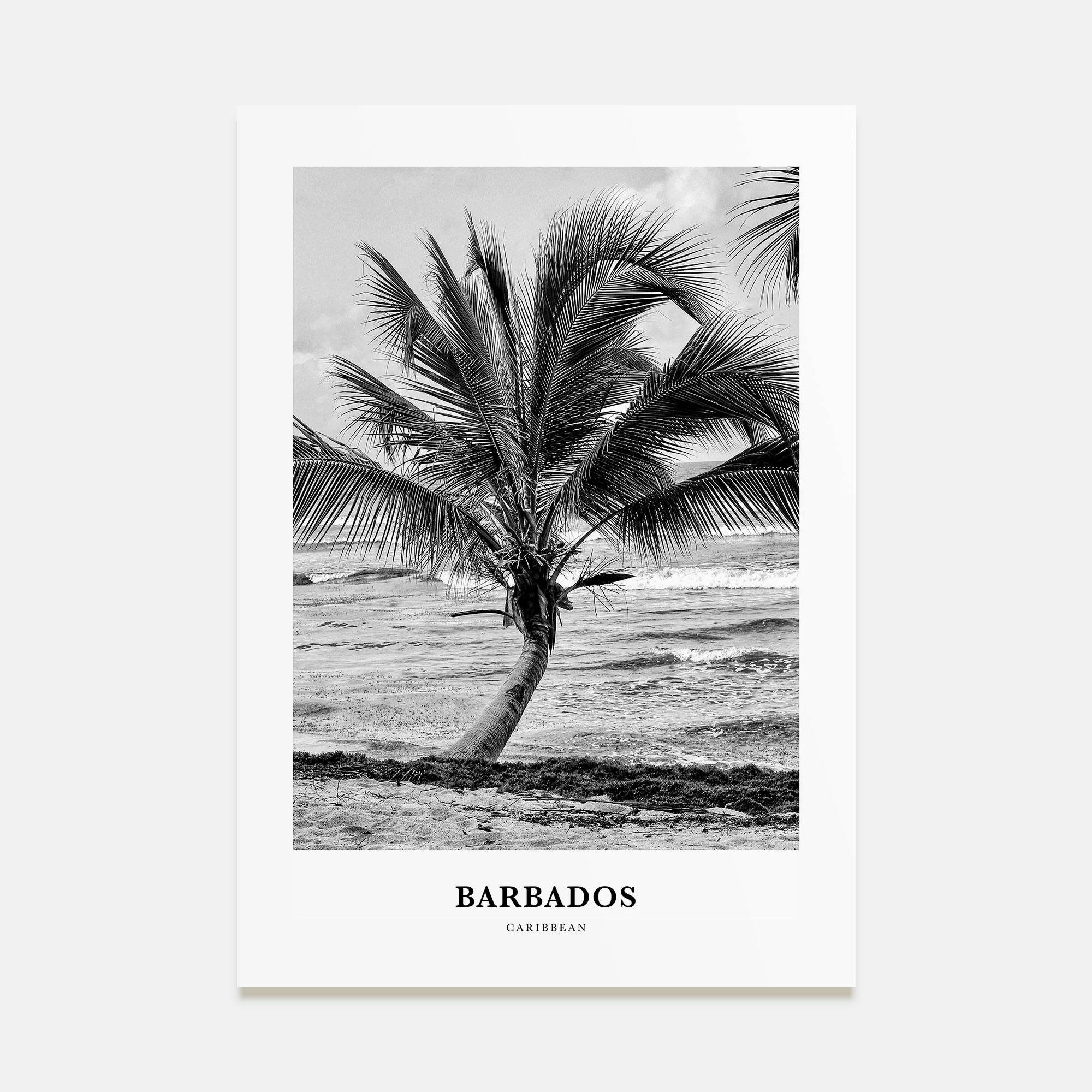 Barbados Portrait B&W No 1 Poster
