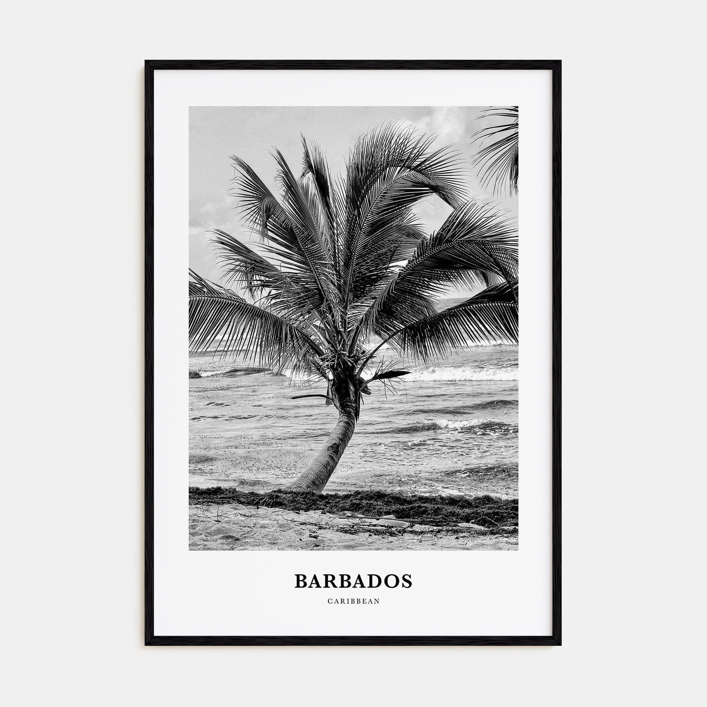 Barbados Portrait B&W No 1 Poster