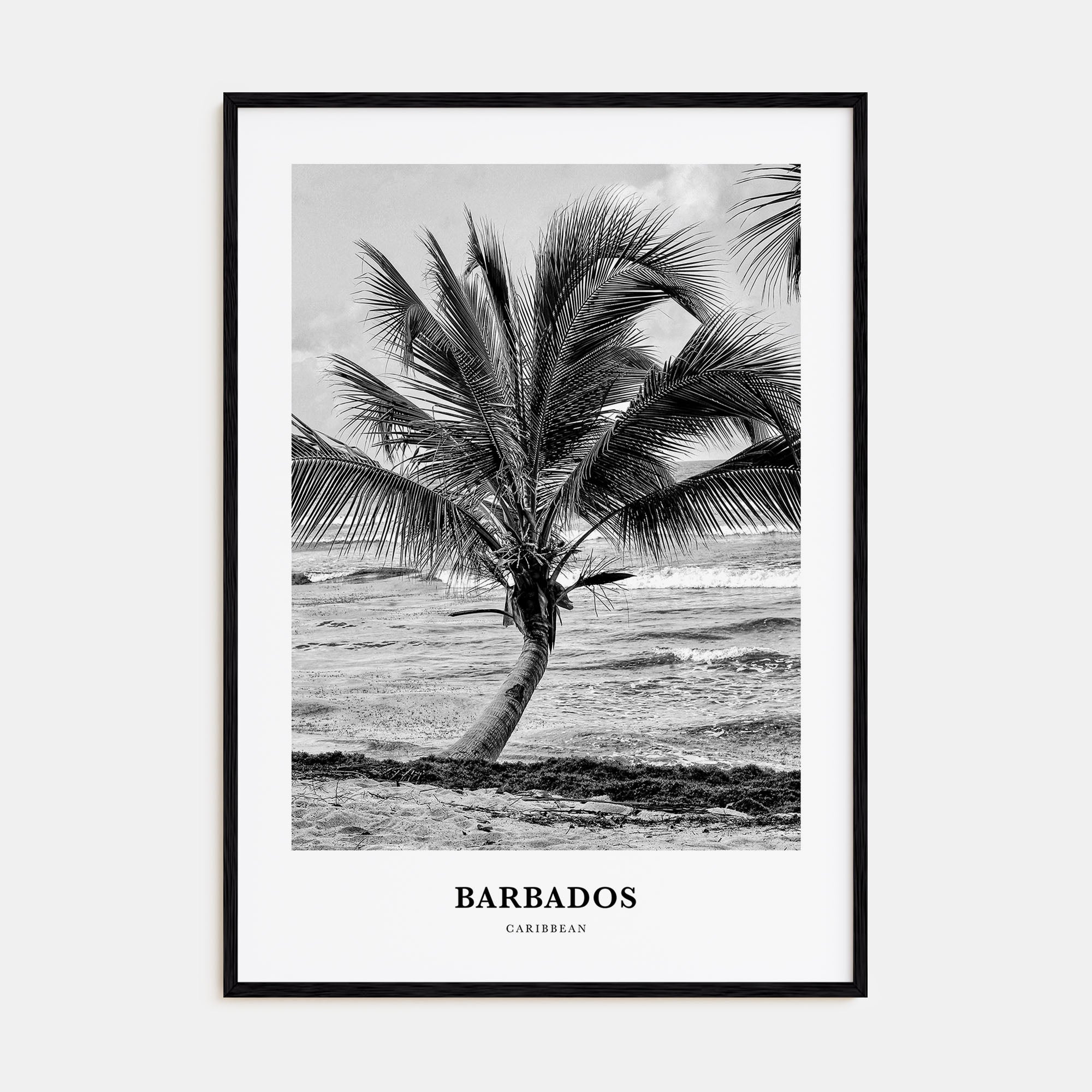 Barbados Portrait B&W No 1 Poster