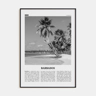 Barbados Travel B&W No 1 Poster