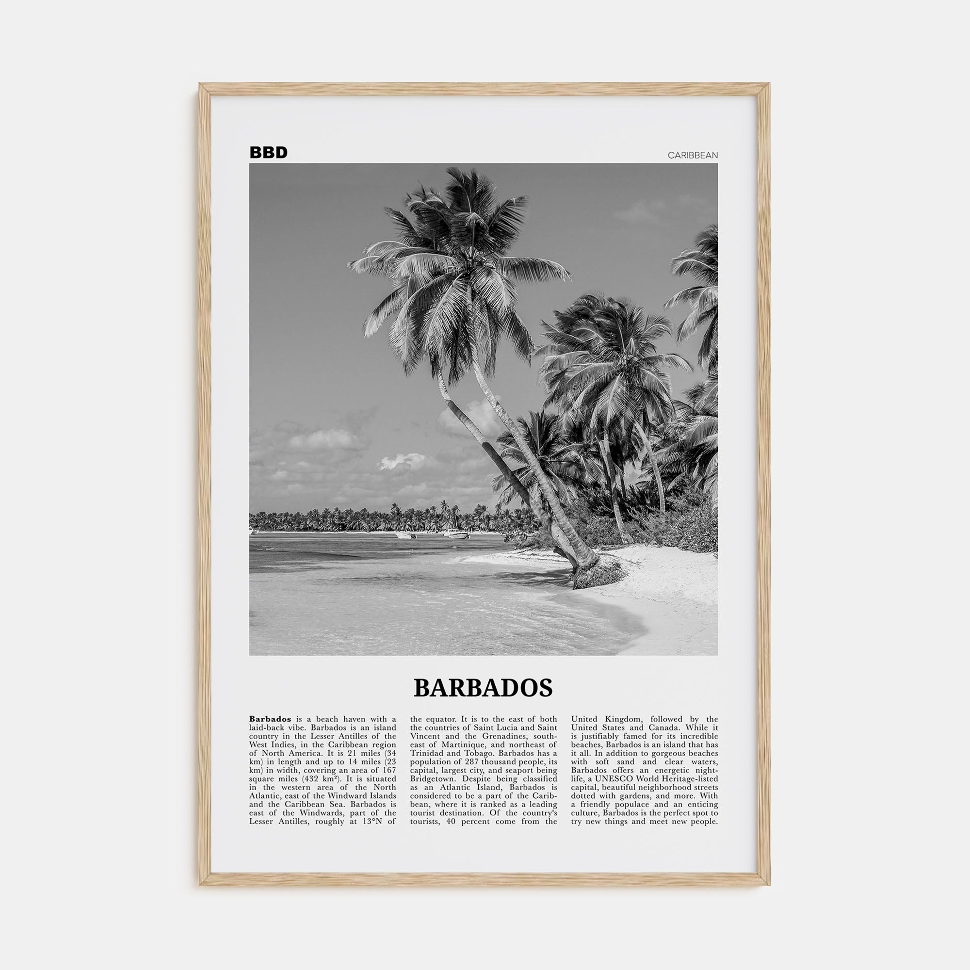 Barbados Travel B&W No 1 Poster
