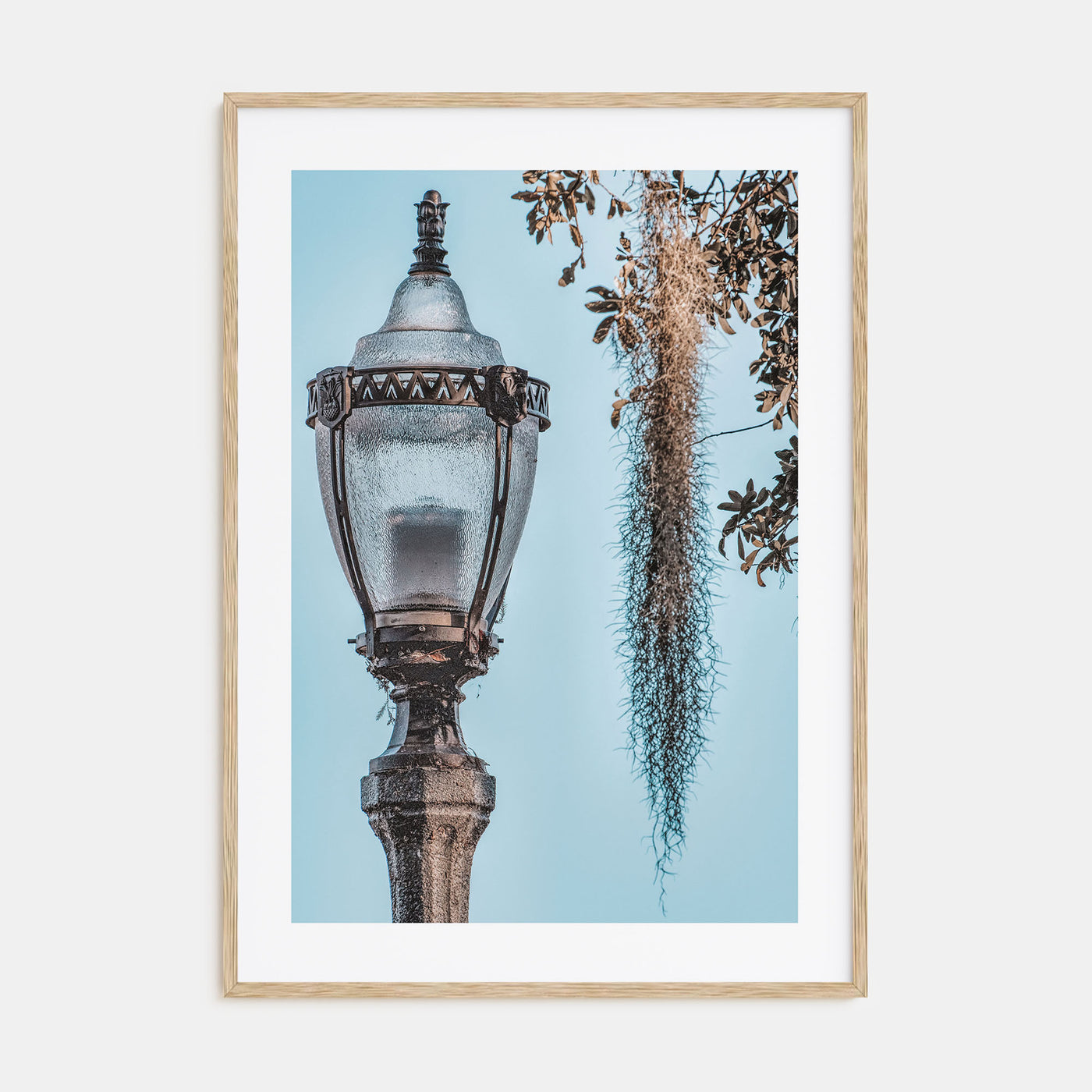 Baton Rouge Photo Color No 3 Poster
