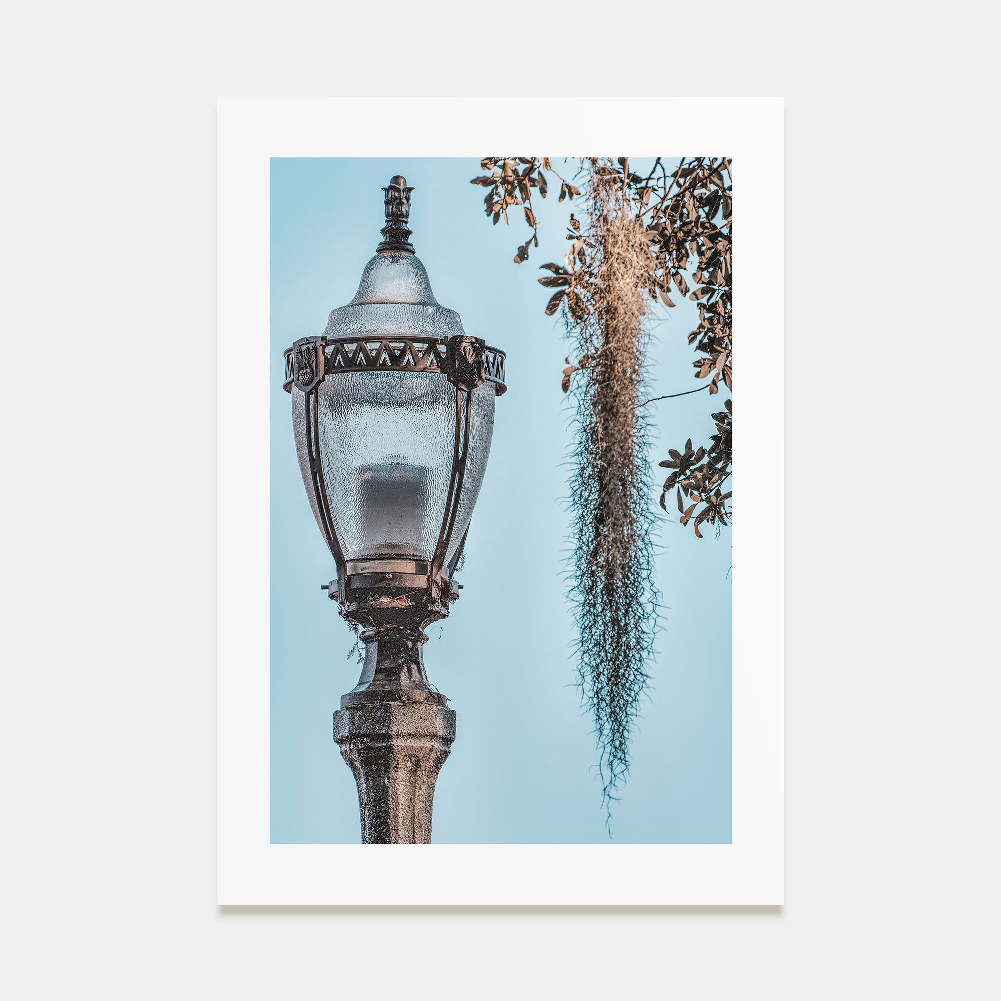 Baton Rouge Photo Color No 3 Poster
