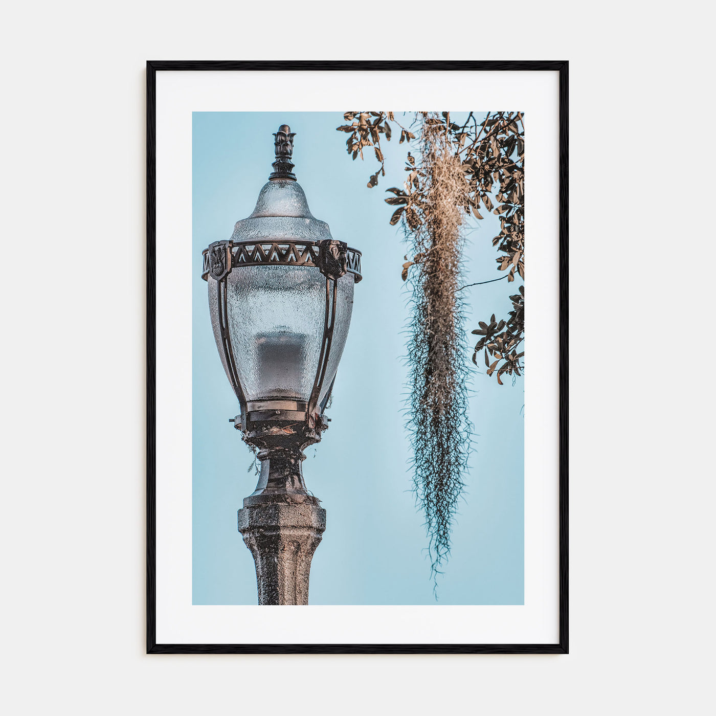 Baton Rouge Photo Color No 3 Poster