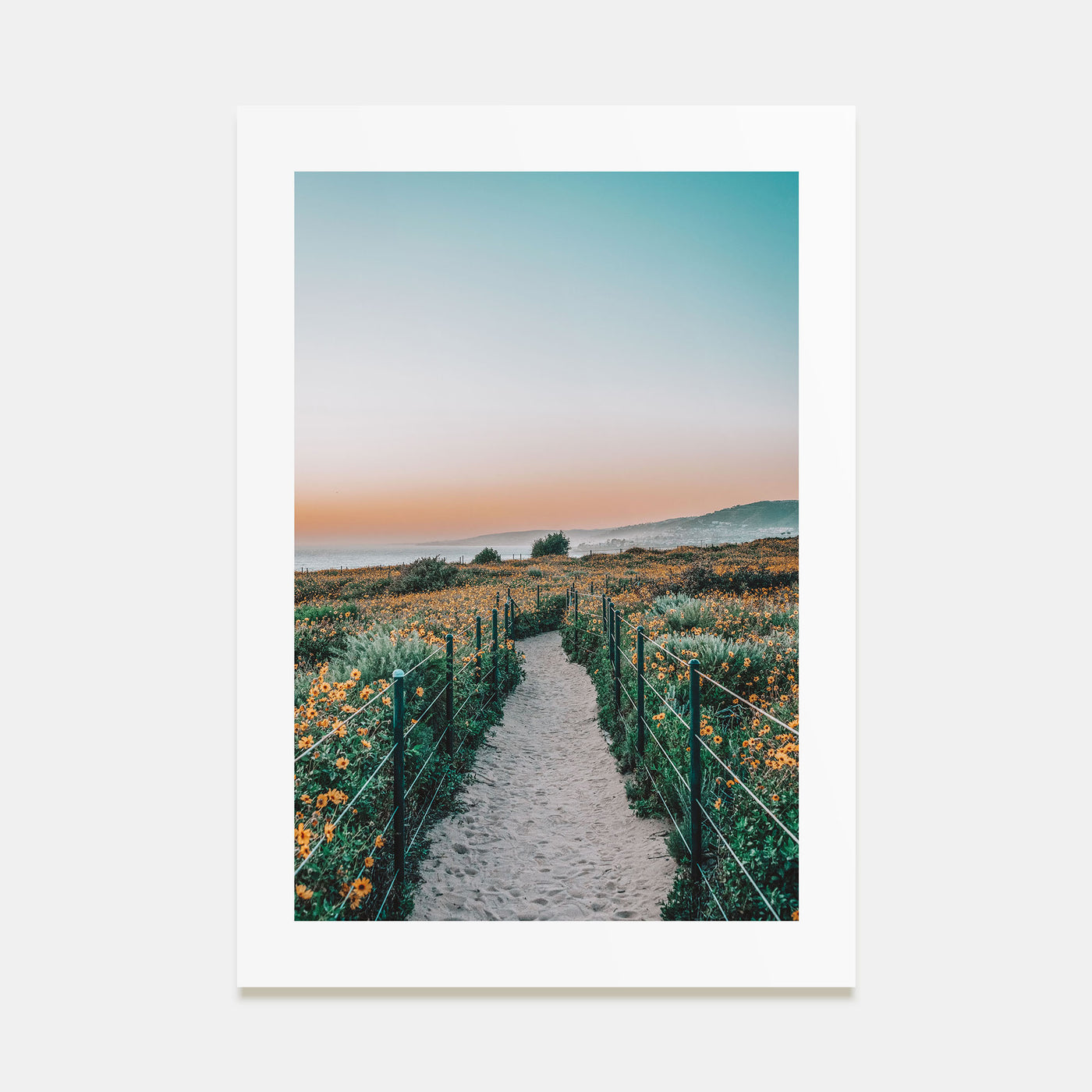 Beach Trail Photo Color No 2 Poster