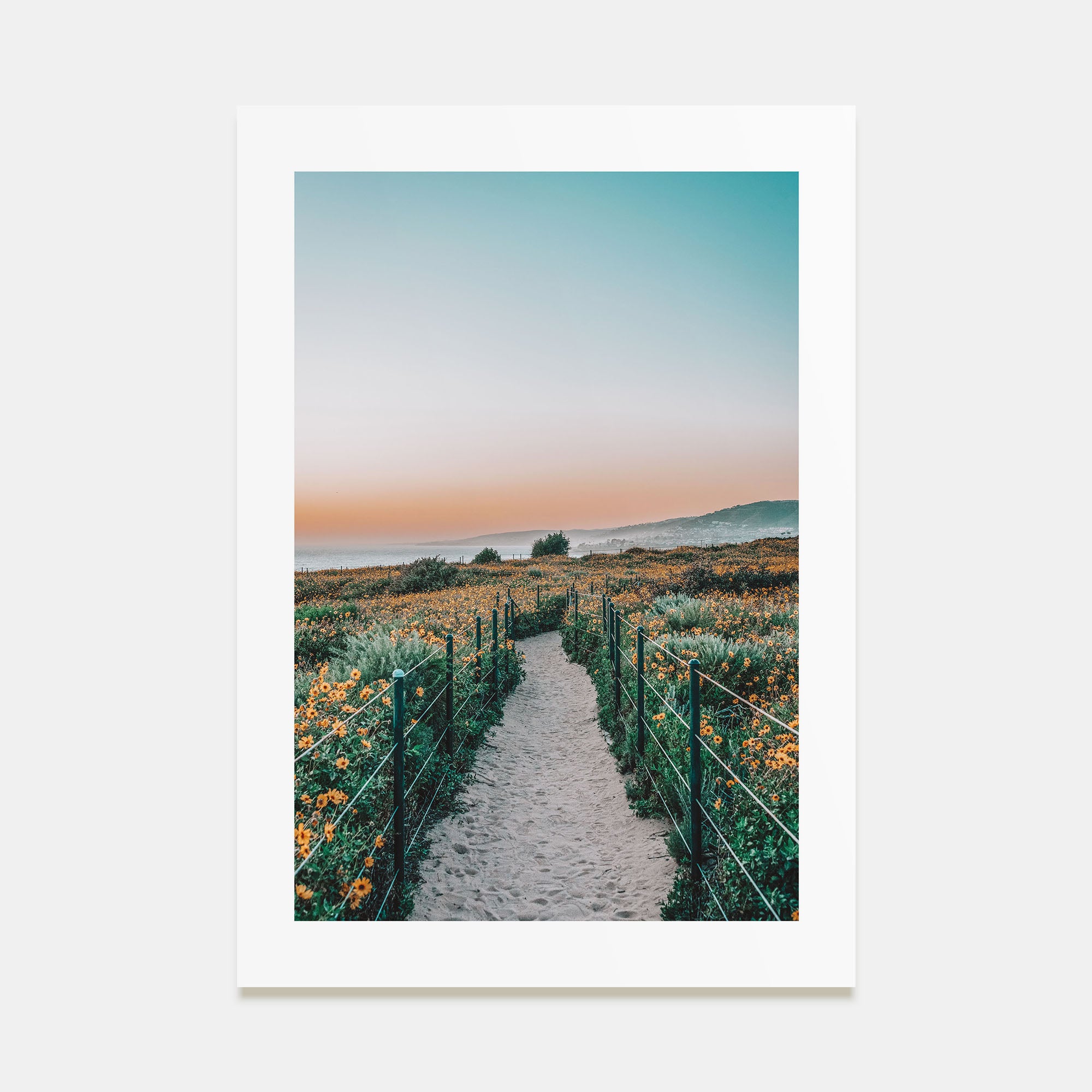 Beach Trail Photo Color No 2 Poster