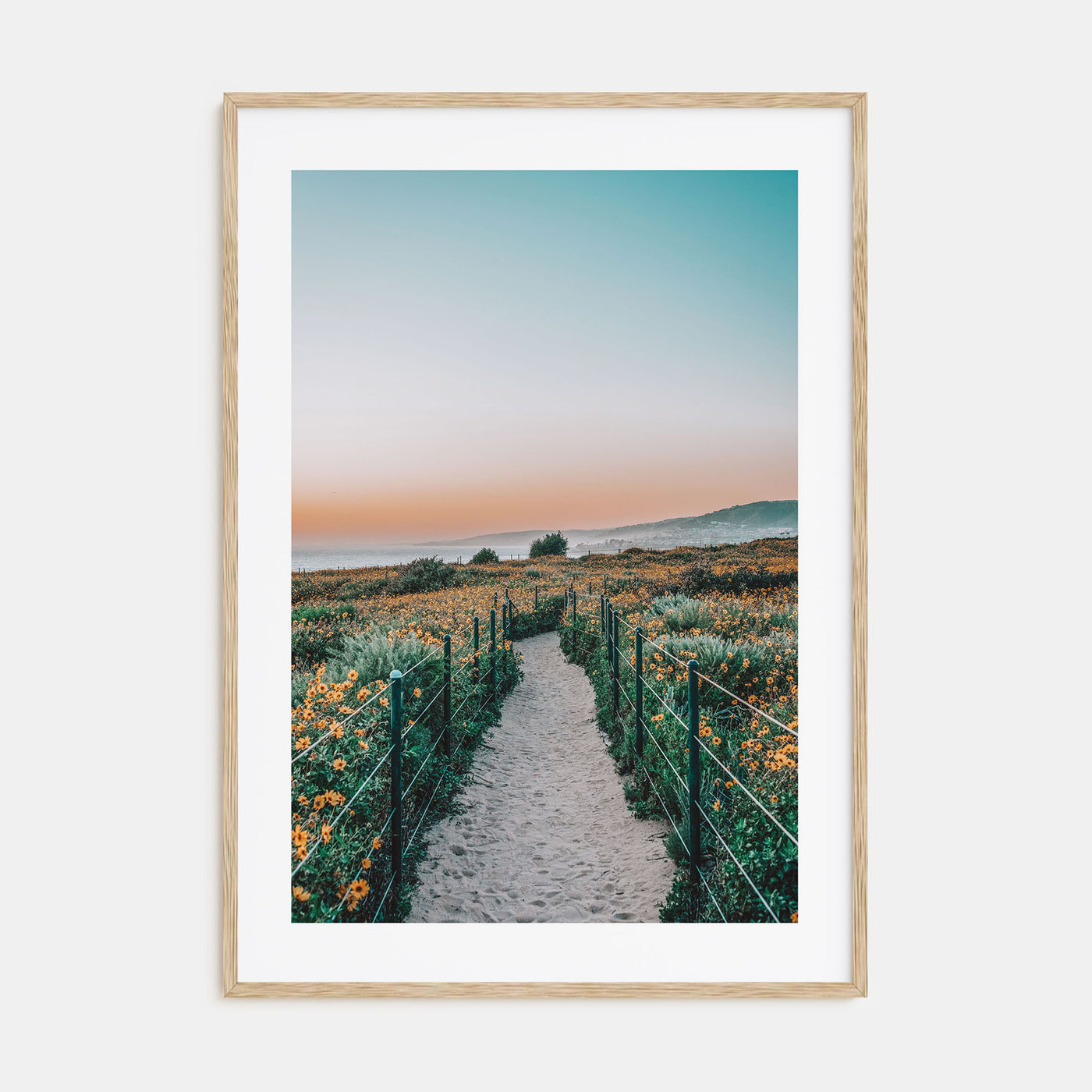 Beach Trail Photo Color No 2 Poster