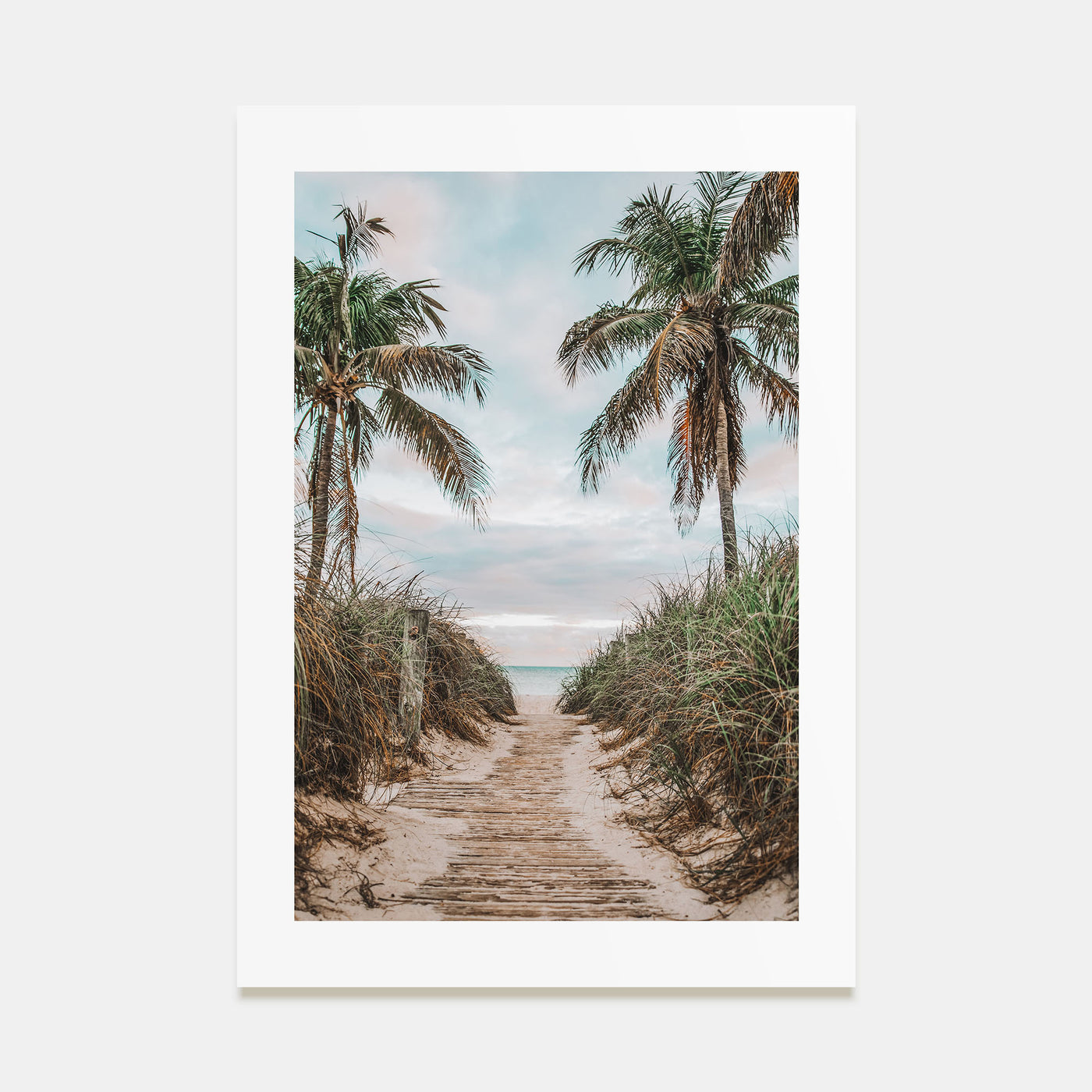 Beach Trail Photo Color No 3 Poster