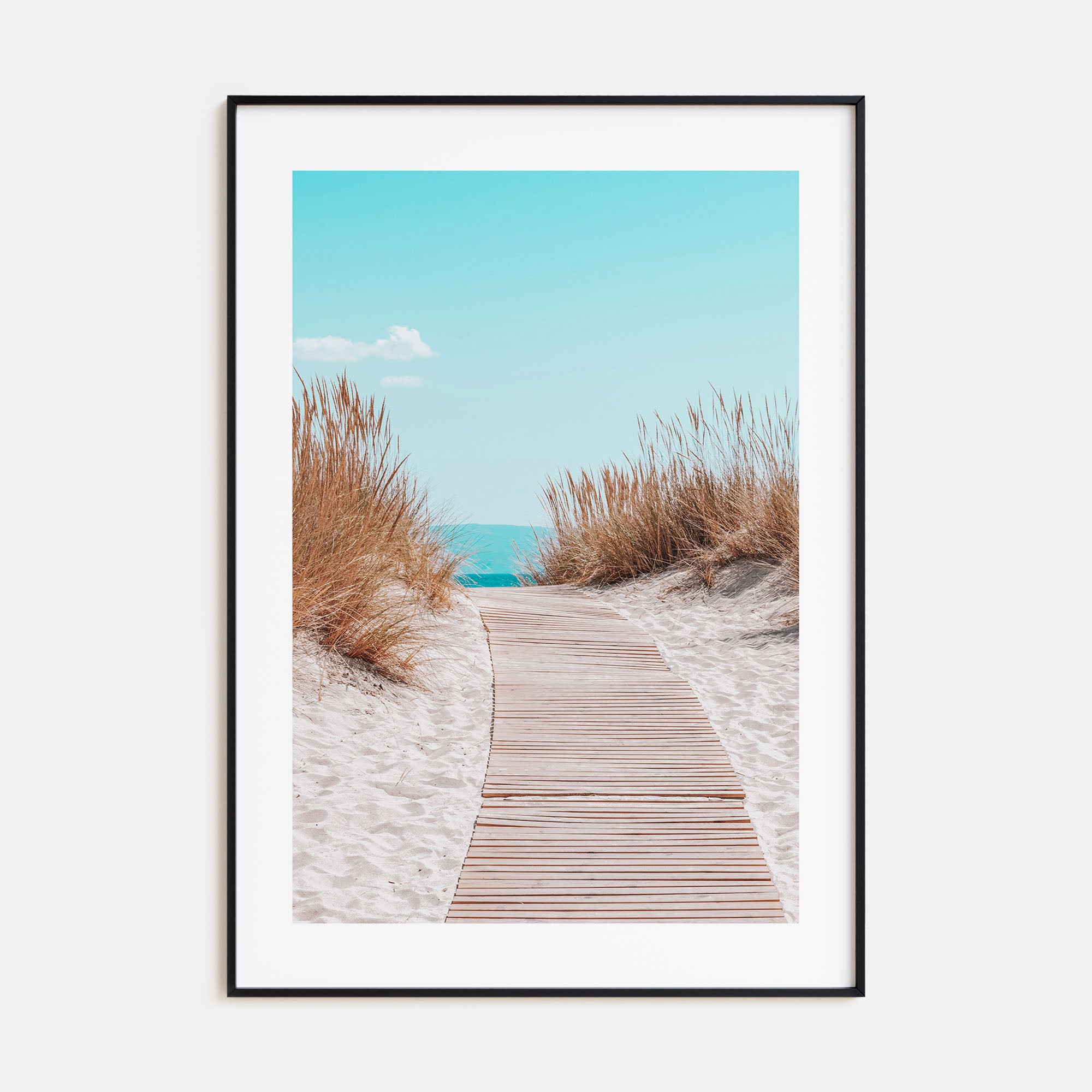 Beach Trail Photo Color No 4 Poster