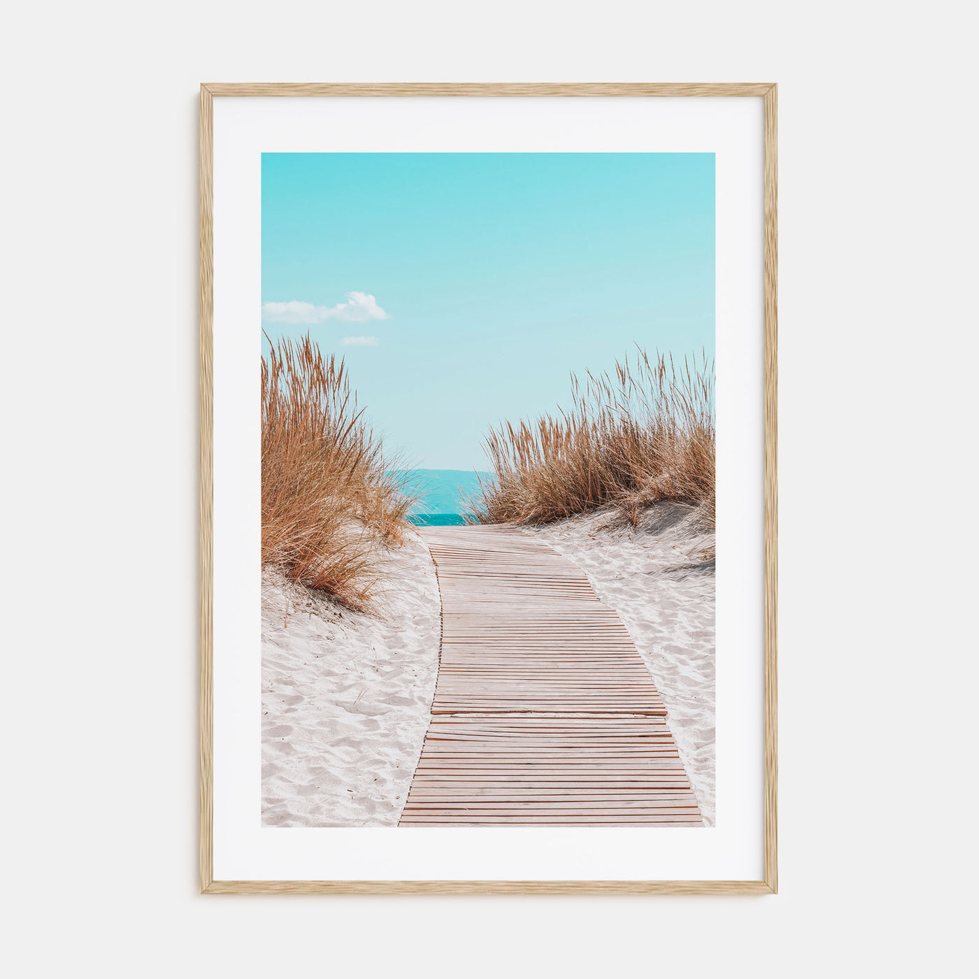 Beach Trail Photo Color No 4 Poster