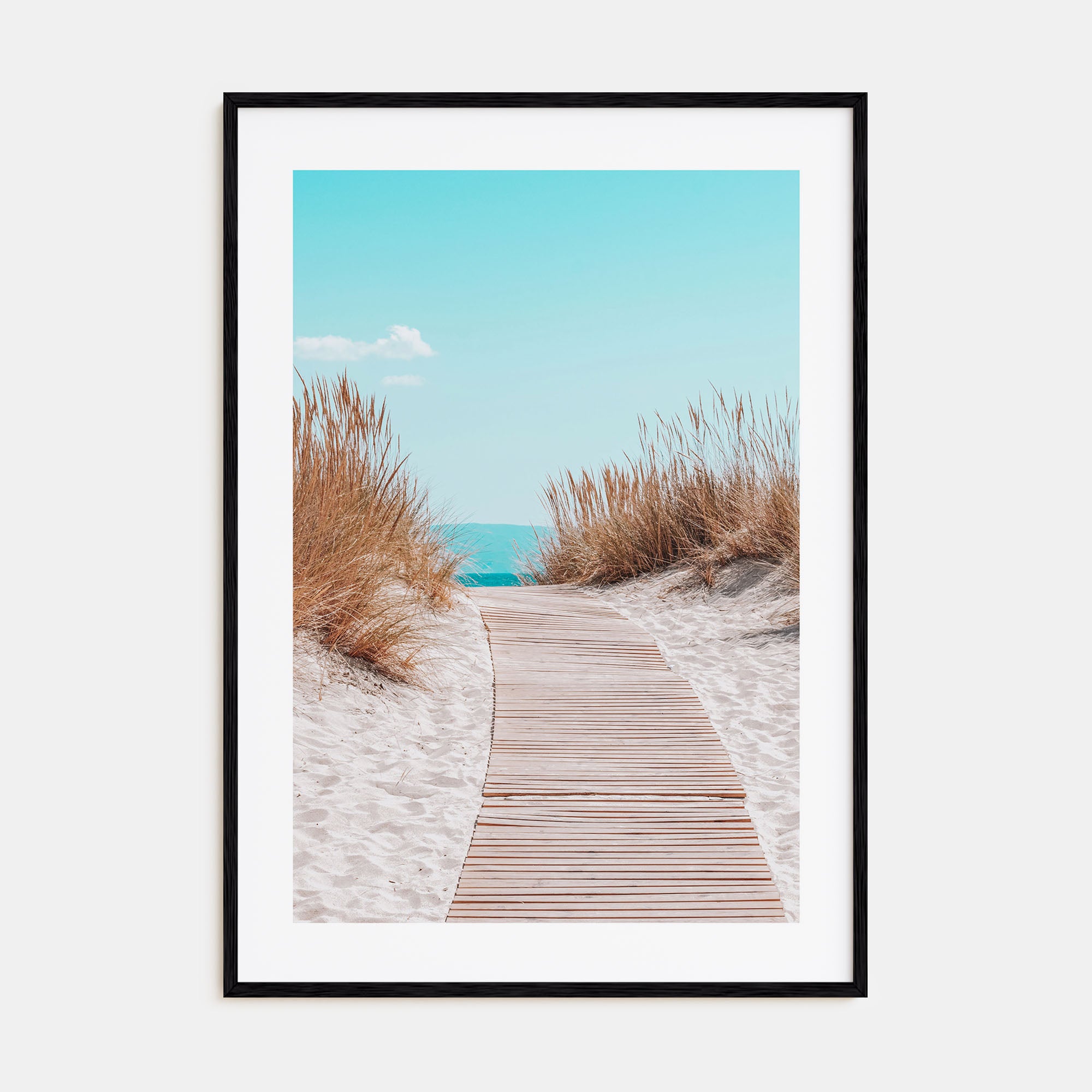 Beach Trail Photo Color No 4 Poster