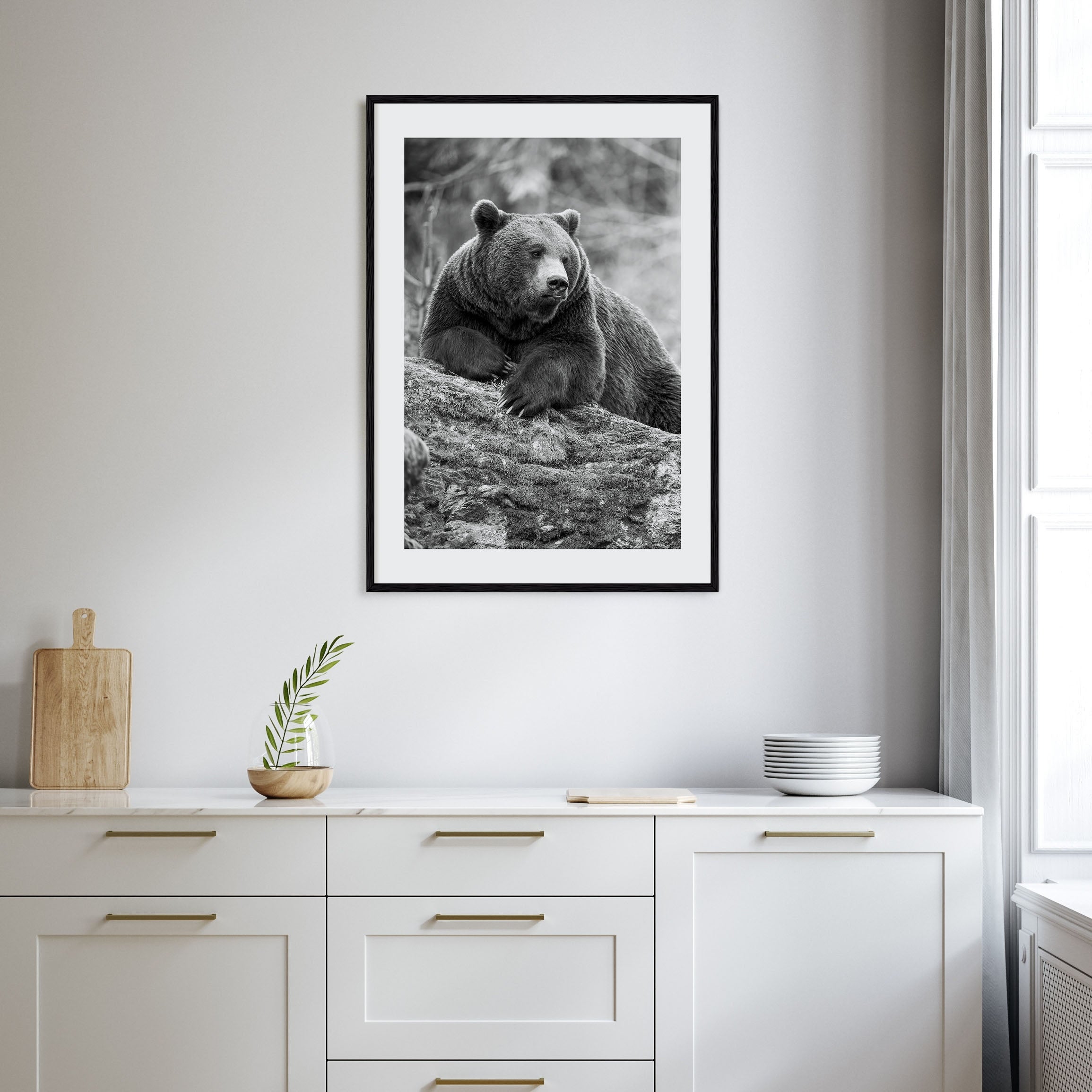 Bear Photo B&W No 1 Poster