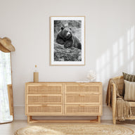 Bear Photo B&W No 1 Poster