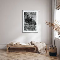 Bear Photo B&W No 1 Poster