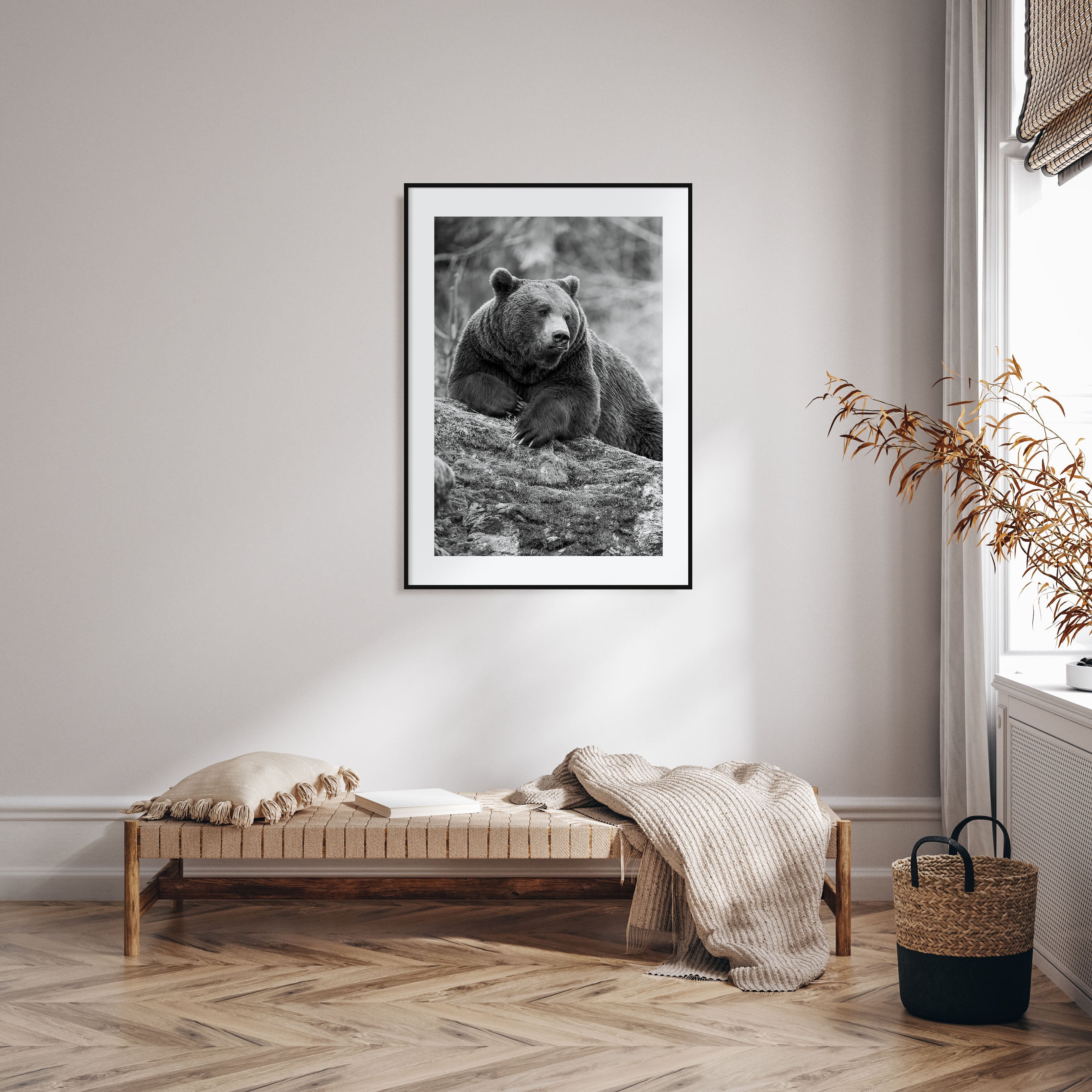 Bear Photo B&W No 1 Poster