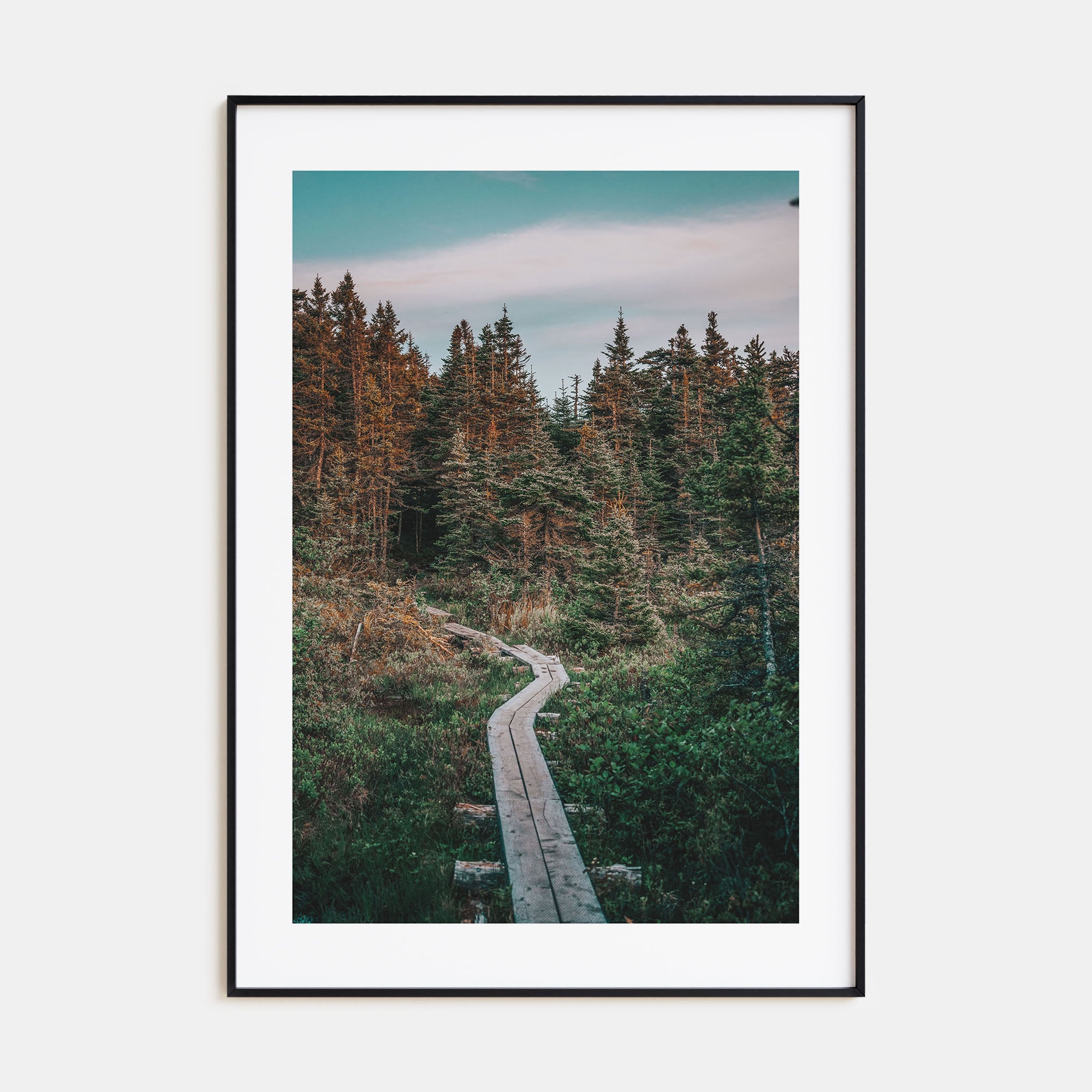 Beautiful Forest Trail Photo Color Poster