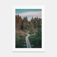 Beautiful Forest Trail Photo Color Poster