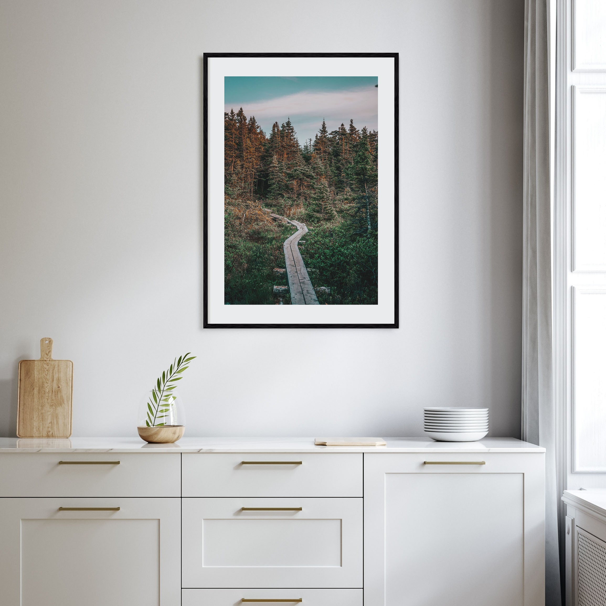 Beautiful Forest Trail Photo Color Poster