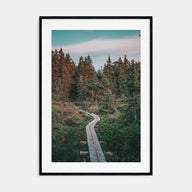 Beautiful Forest Trail Photo Color Poster