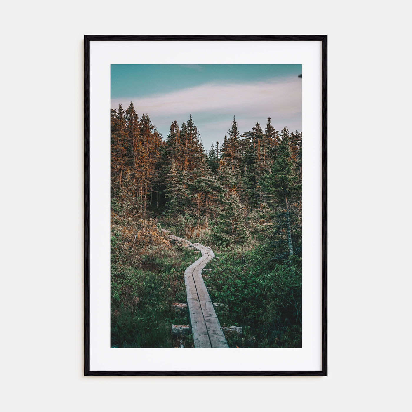 Beautiful Forest Trail Photo Color Poster