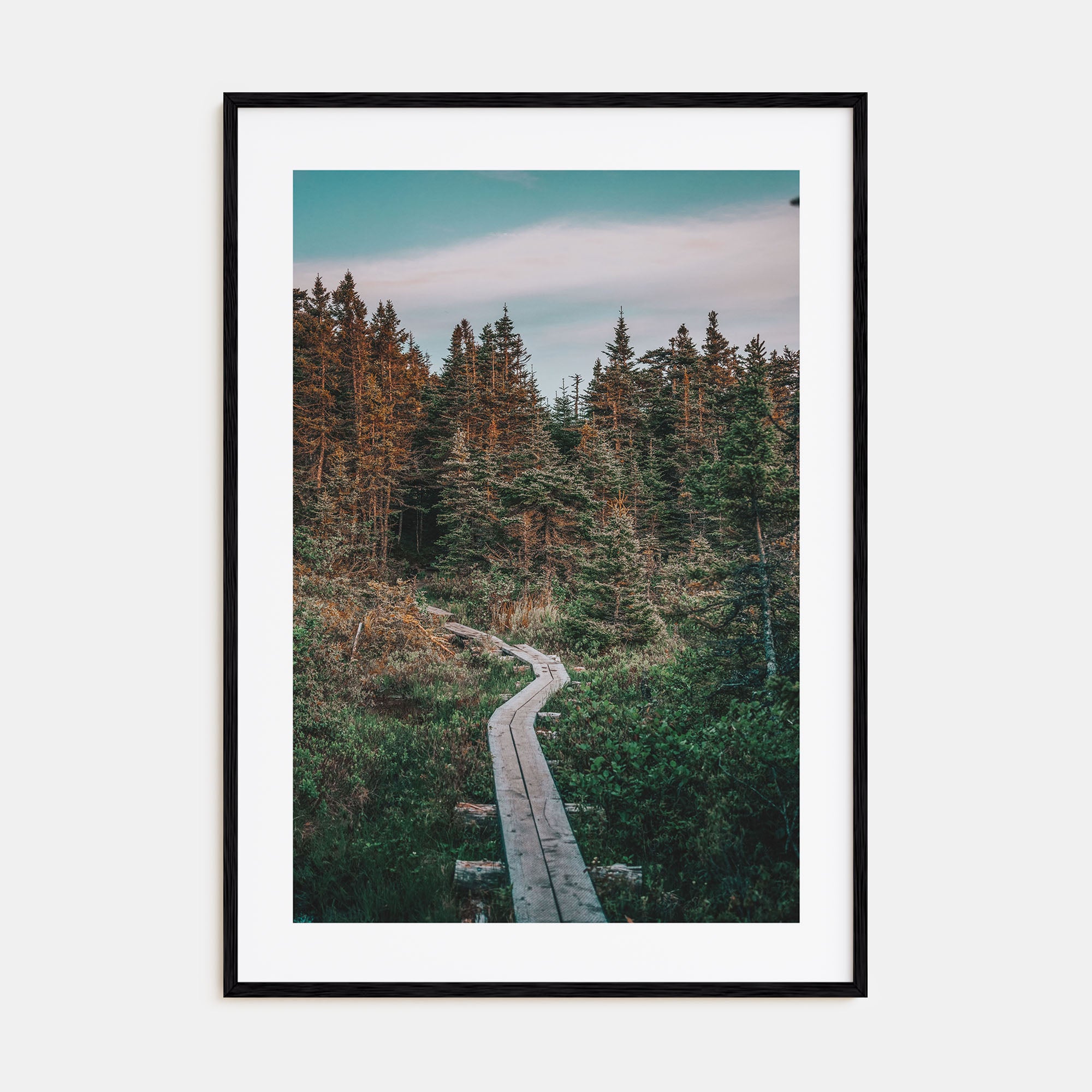 Beautiful Forest Trail Photo Color Poster
