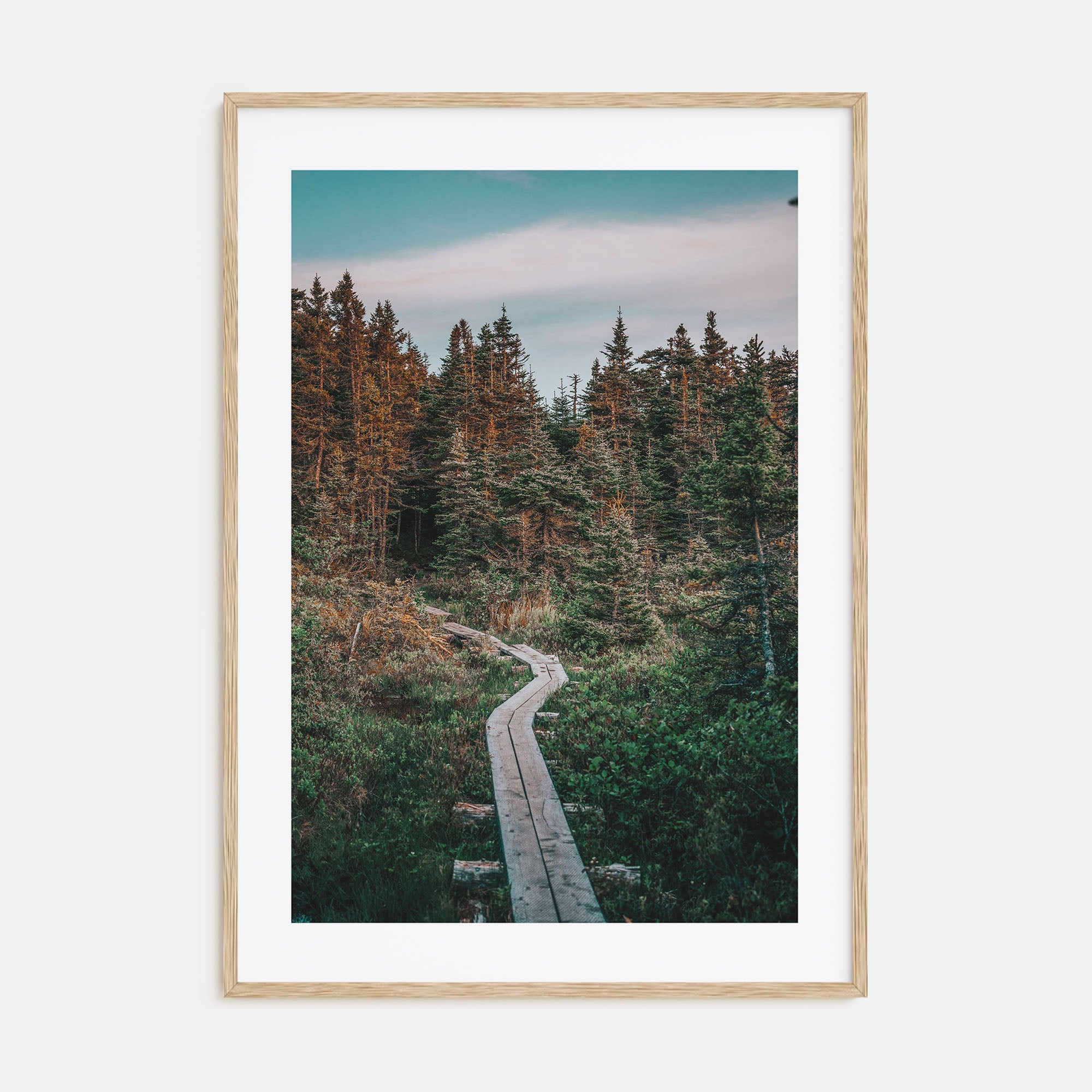 Beautiful Forest Trail Photo Color Poster