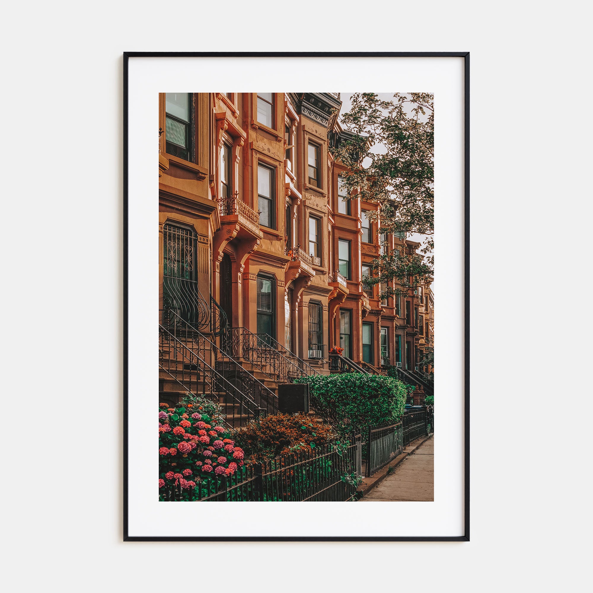 Bedford-Stuyvesant Photo Color Poster