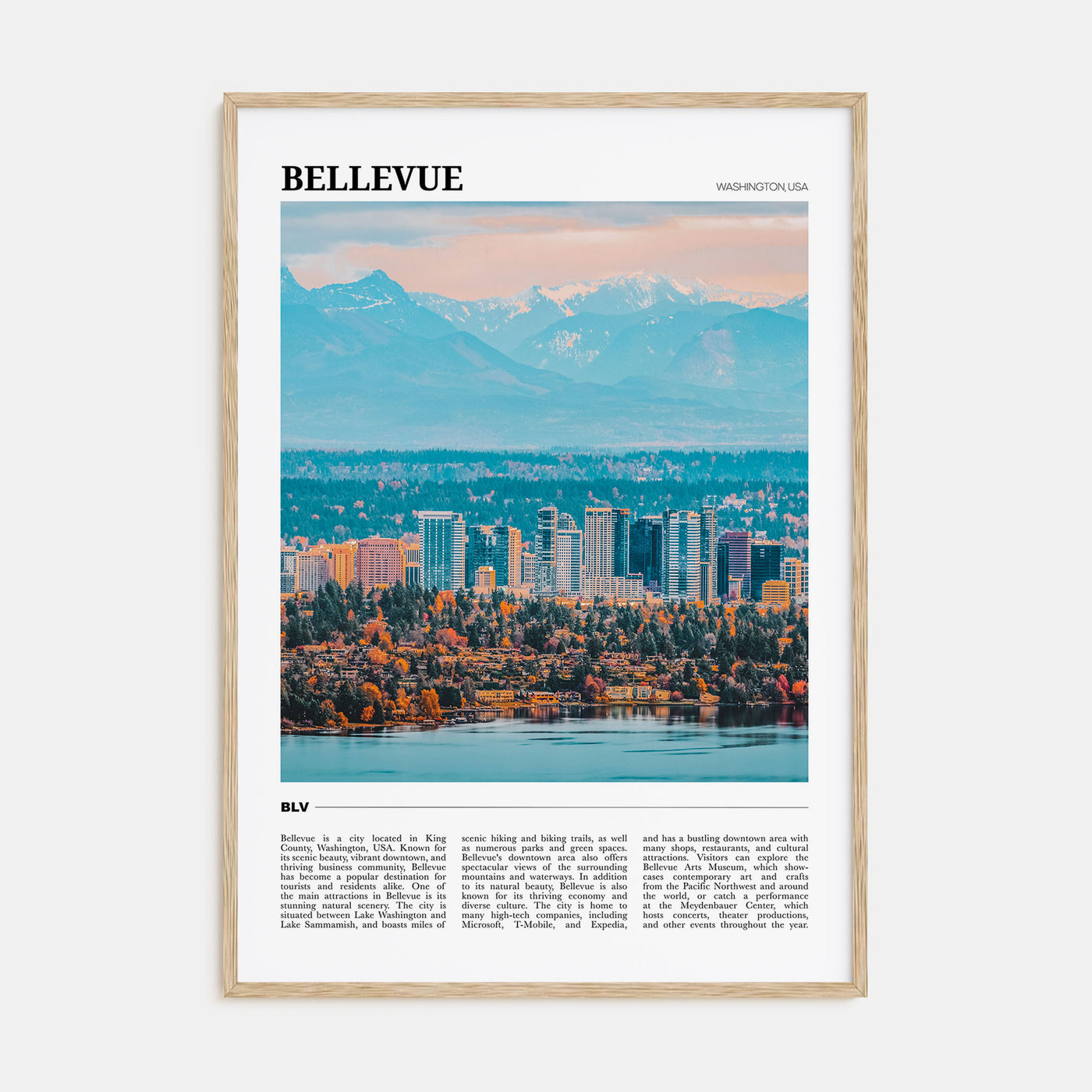 Bellevue Travel Color Poster