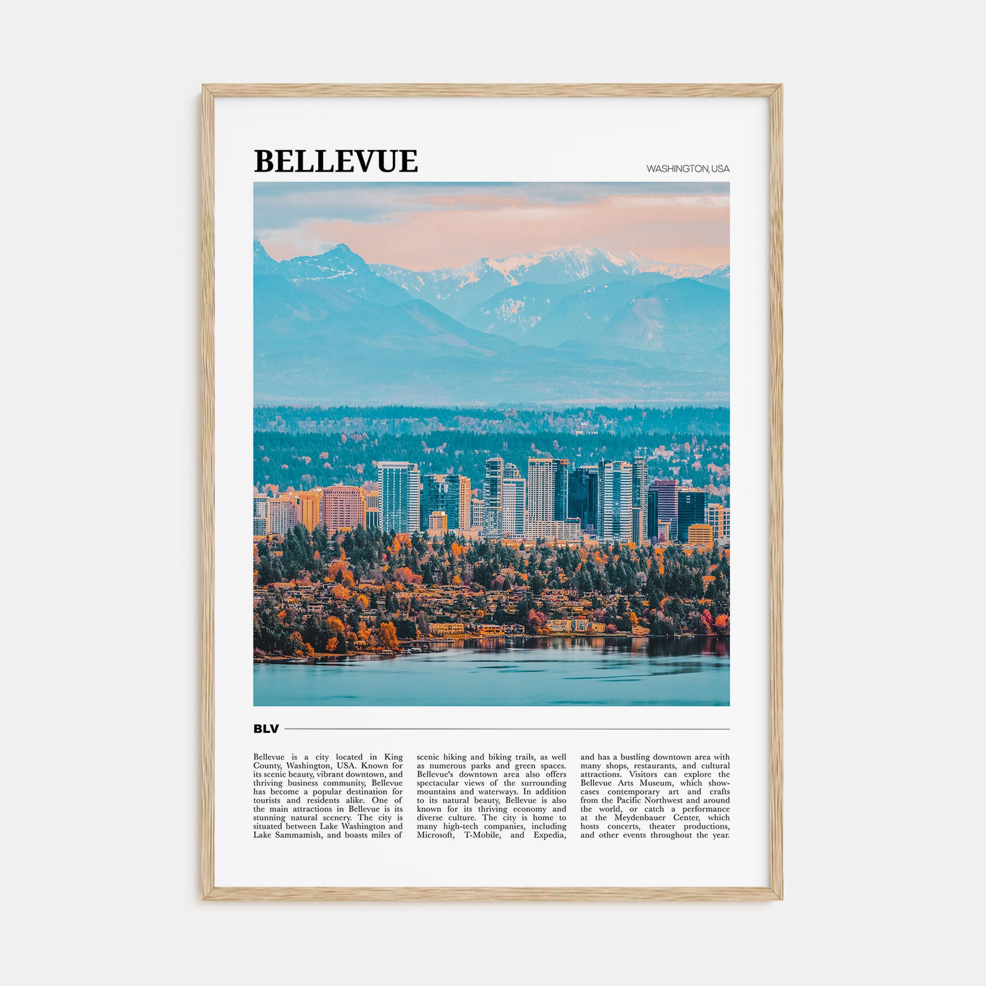 Bellevue Travel Color Poster