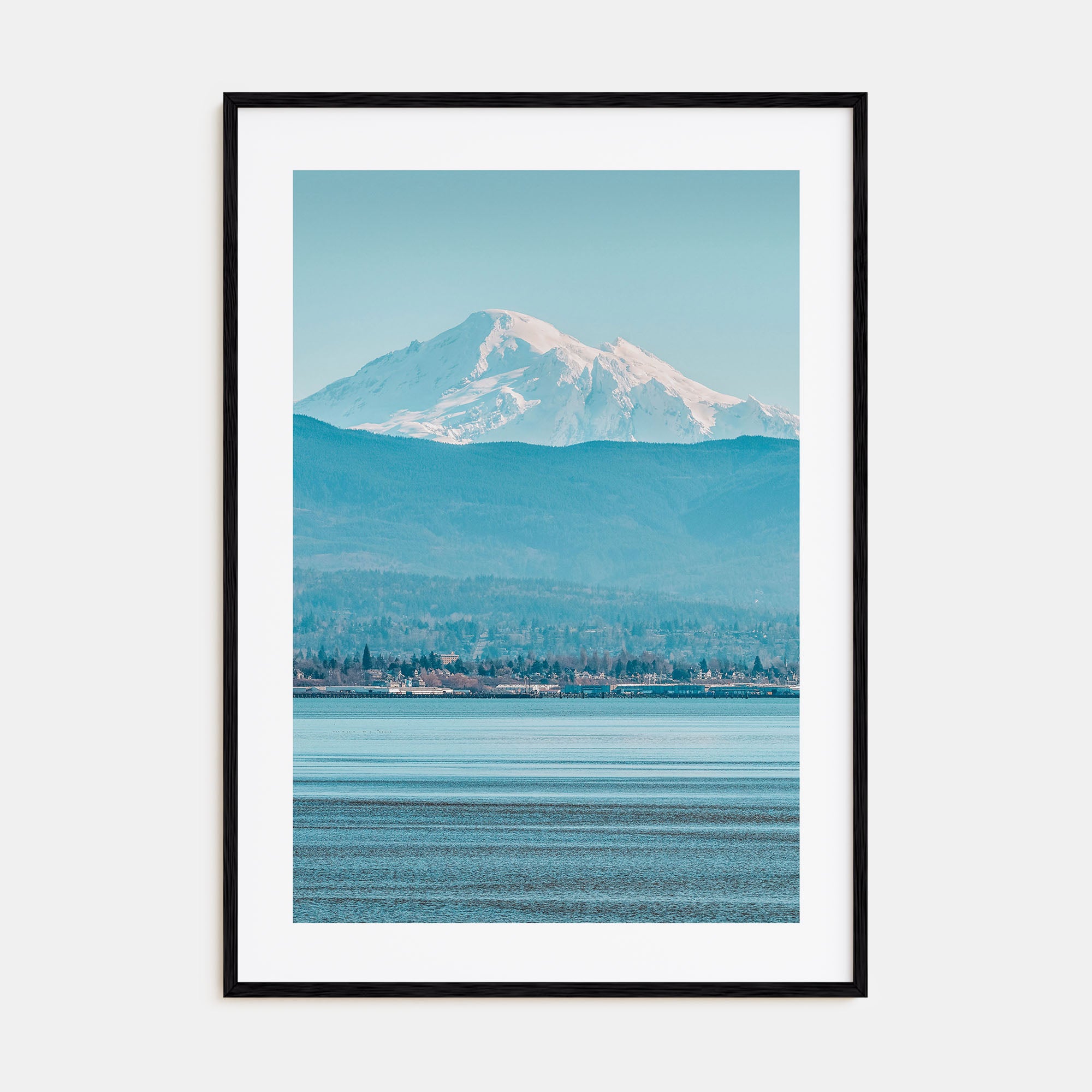 Bellingham Photo Color Poster